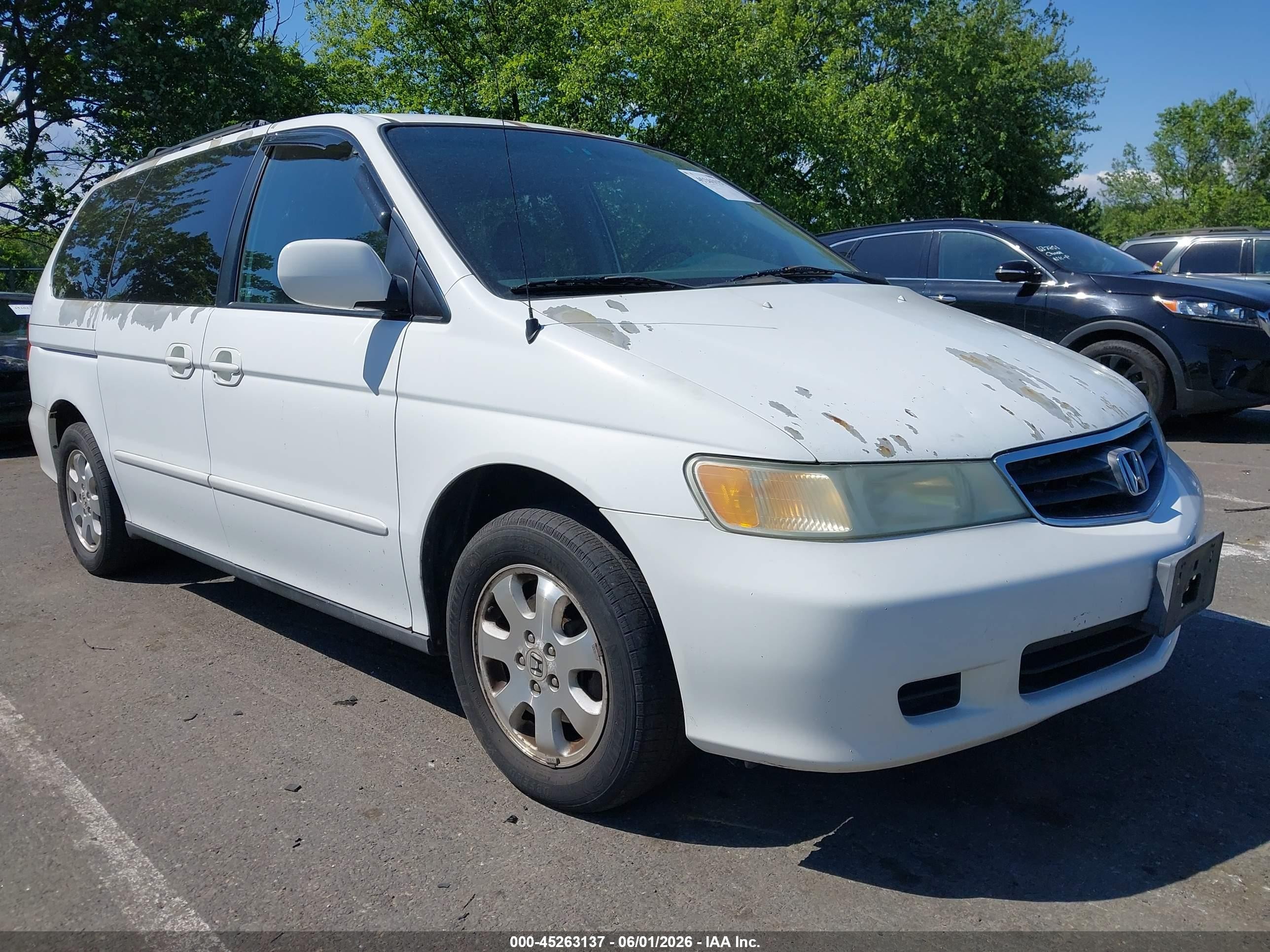 2004 Honda Odyssey Ex-l White vin: 5FNRL189X4B092944