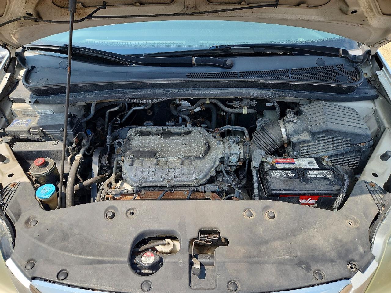 2007 Honda Odyssey Lx Beige vin: 5FNRL38227B110145