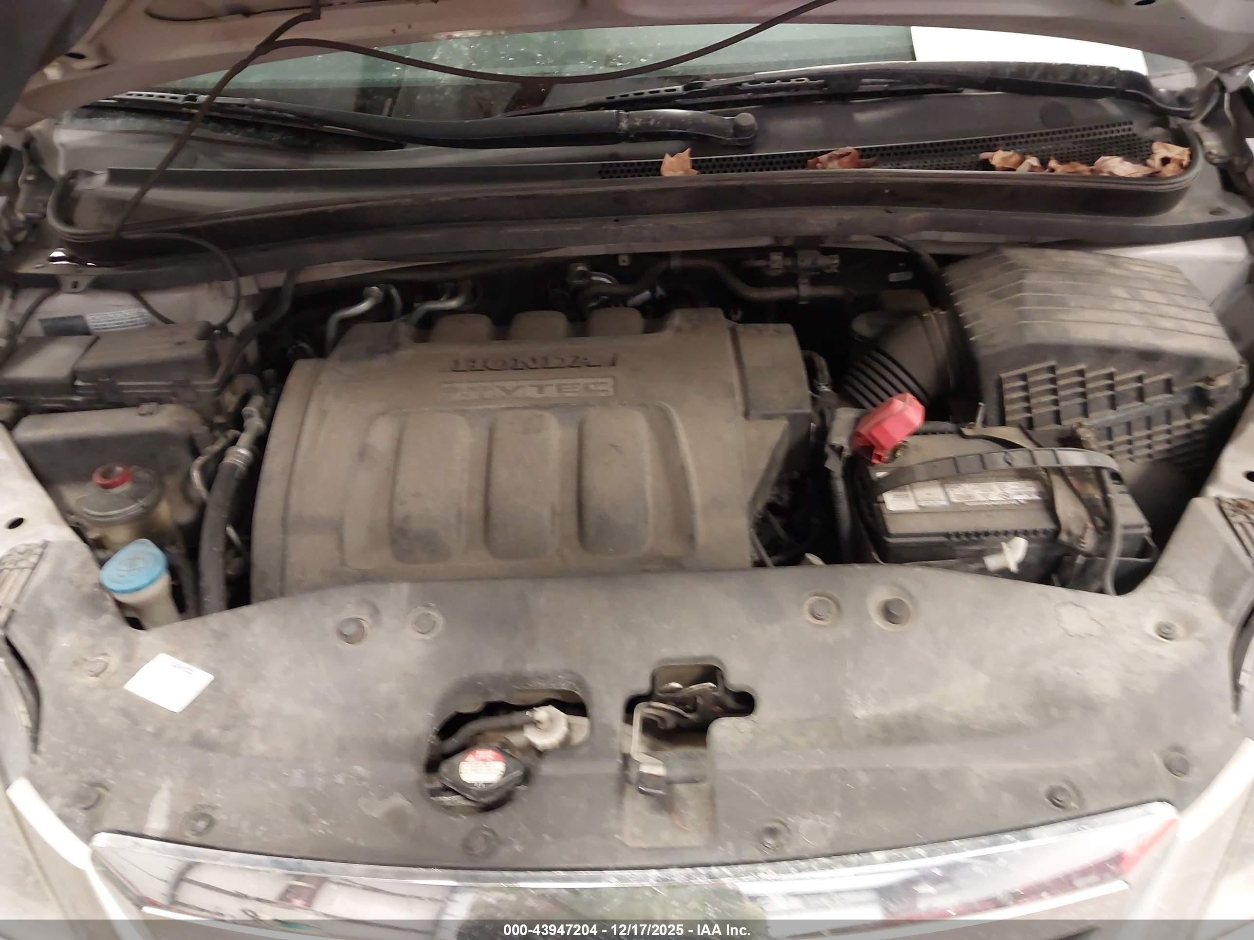 2005 Honda Odyssey Lx Silver vin: 5FNRL38235B073216