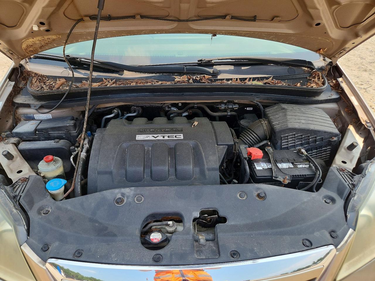 2006 Honda Odyssey Lx Gold vin: 5FNRL38246B039559