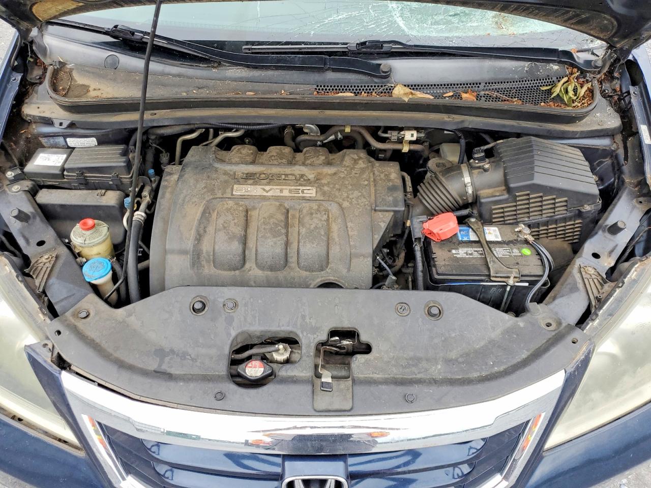 2009 Honda Odyssey Lx Blue vin: 5FNRL38259B055788