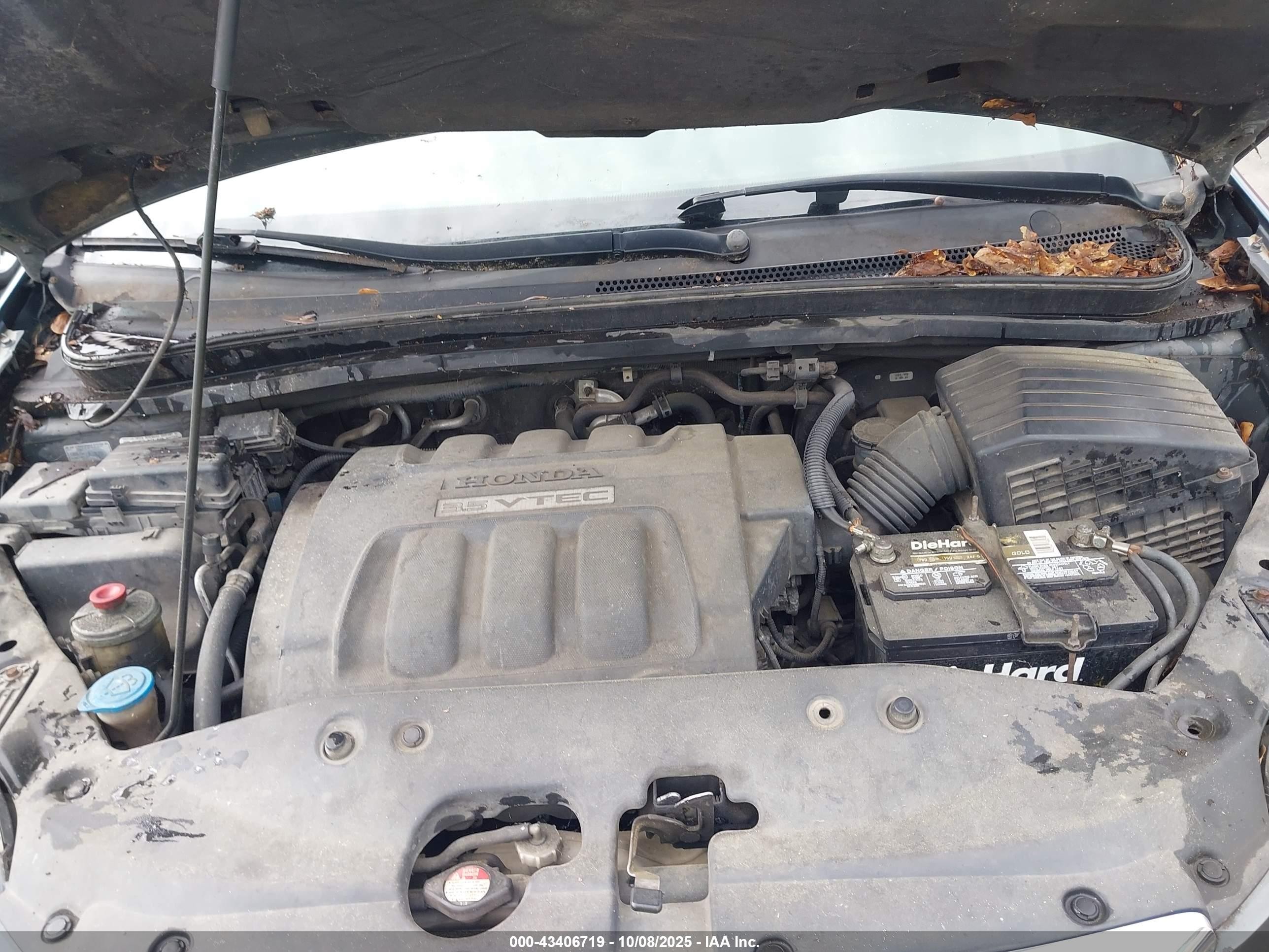 2006 Honda Odyssey Ex Gray vin: 5FNRL38406B402988