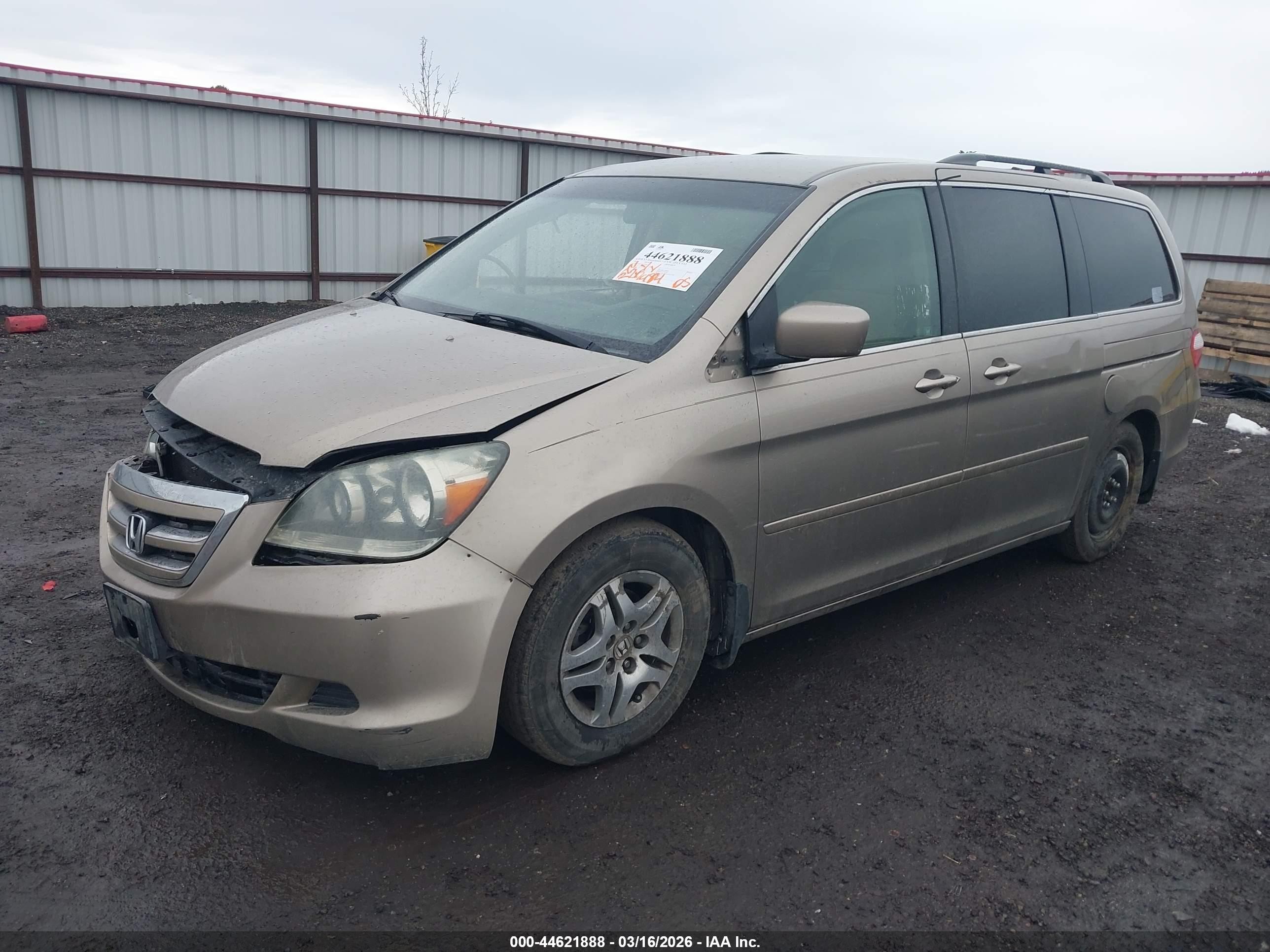 2005 Honda Odyssey Ex Коричневый vin: 5FNRL38415B081767