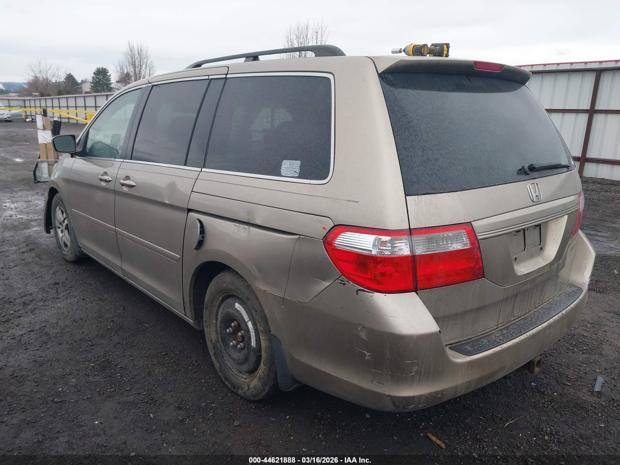 2005 Honda Odyssey Ex Коричневый vin: 5FNRL38415B081767
