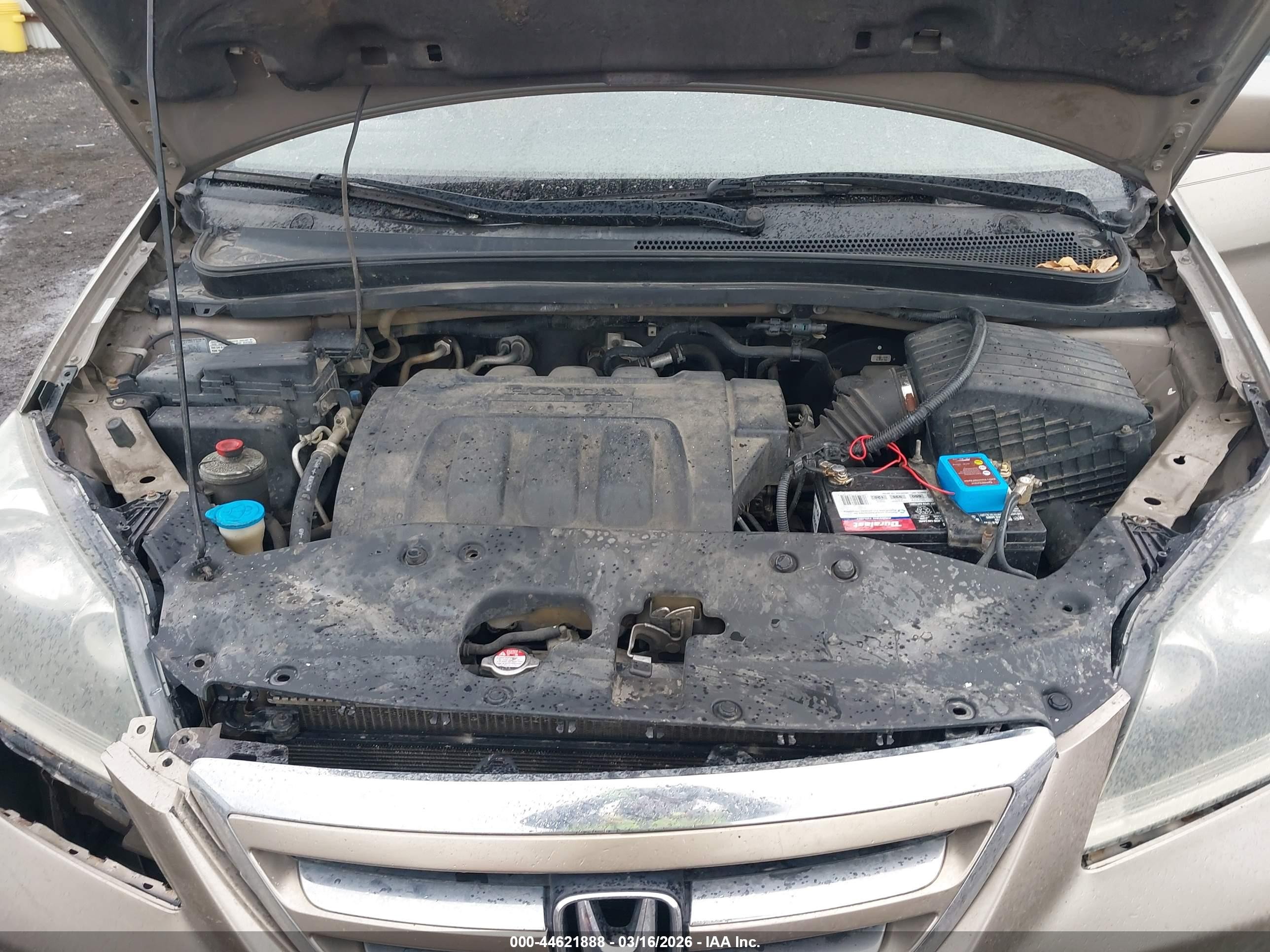 2005 Honda Odyssey Ex Коричневый vin: 5FNRL38415B081767