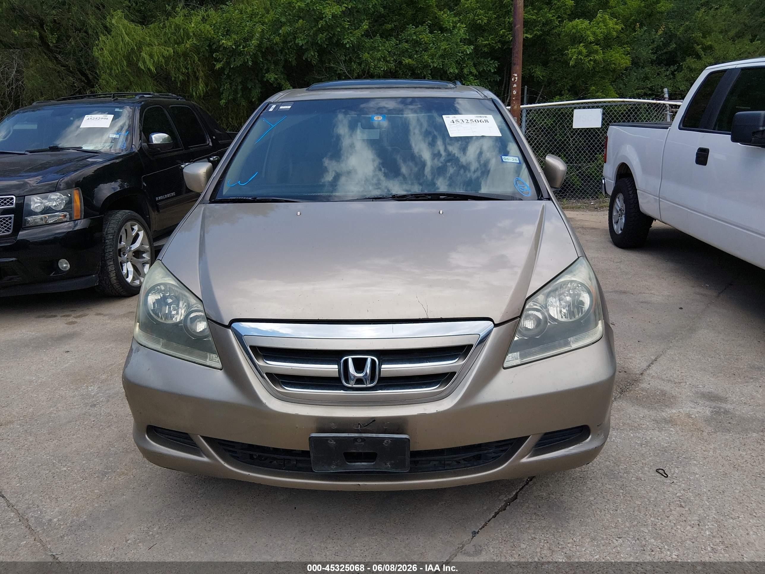 2006 Honda Odyssey Ex Beige vin: 5FNRL38416B039844