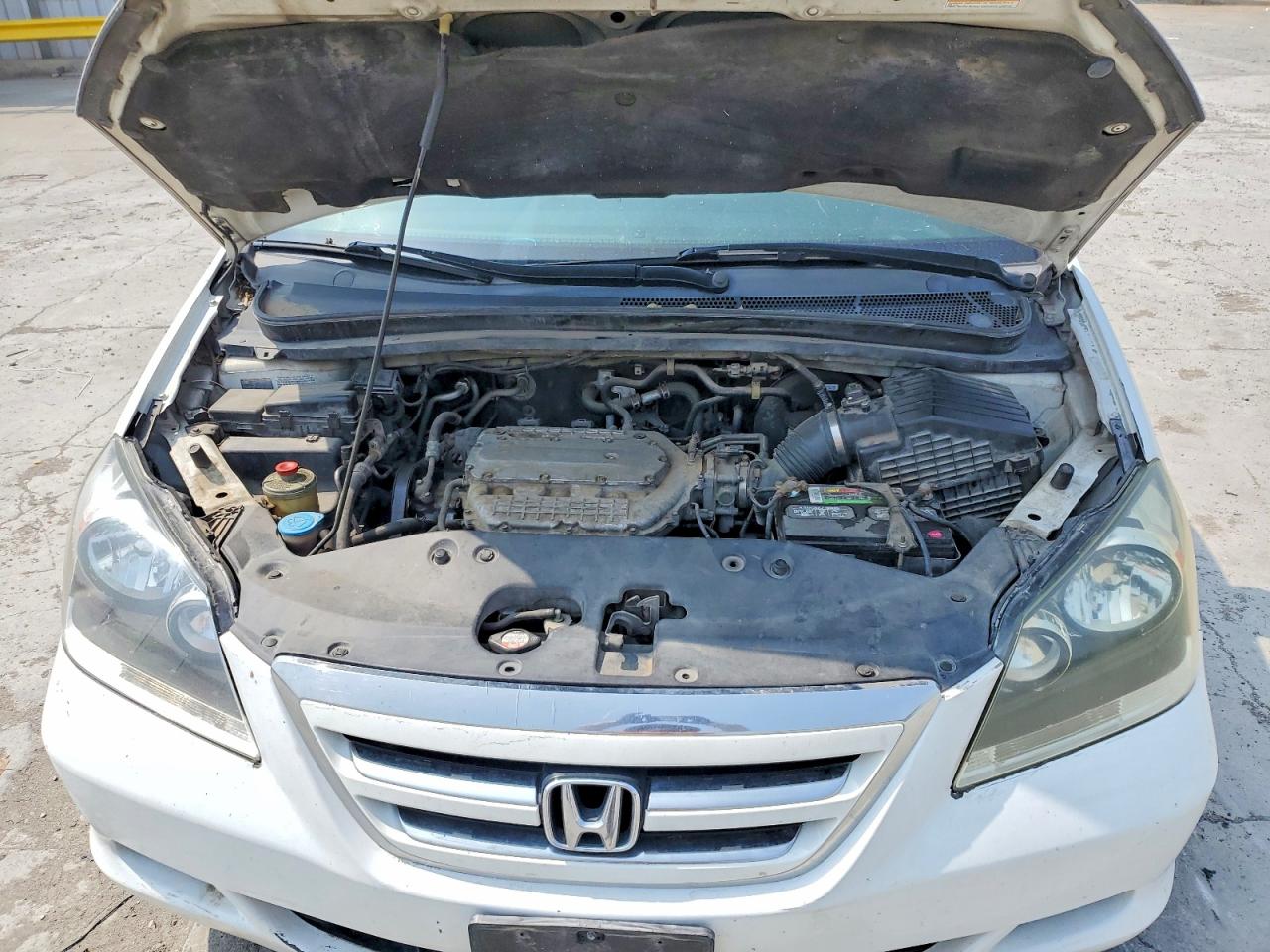 2007 Honda Odyssey Ex White vin: 5FNRL38417B013214