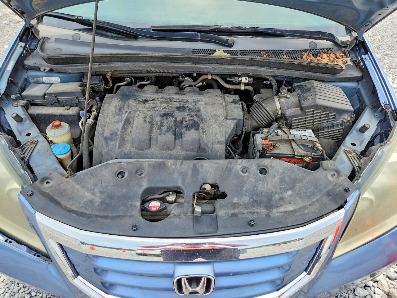 2009 Honda Odyssey Ex Blue vin: 5FNRL38429B008056