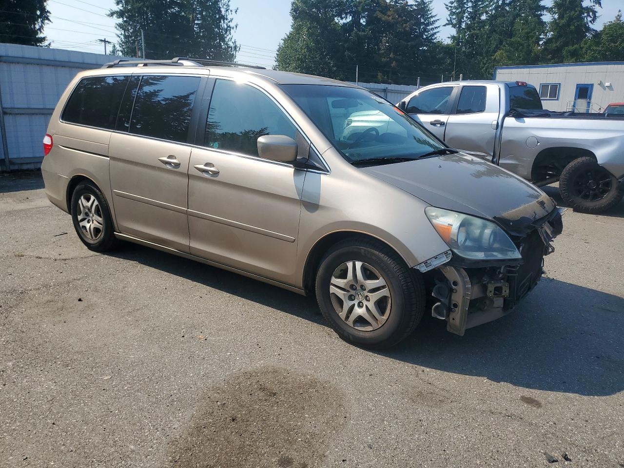 2006 Honda Odyssey Ex Gold vin: 5FNRL38436B423463