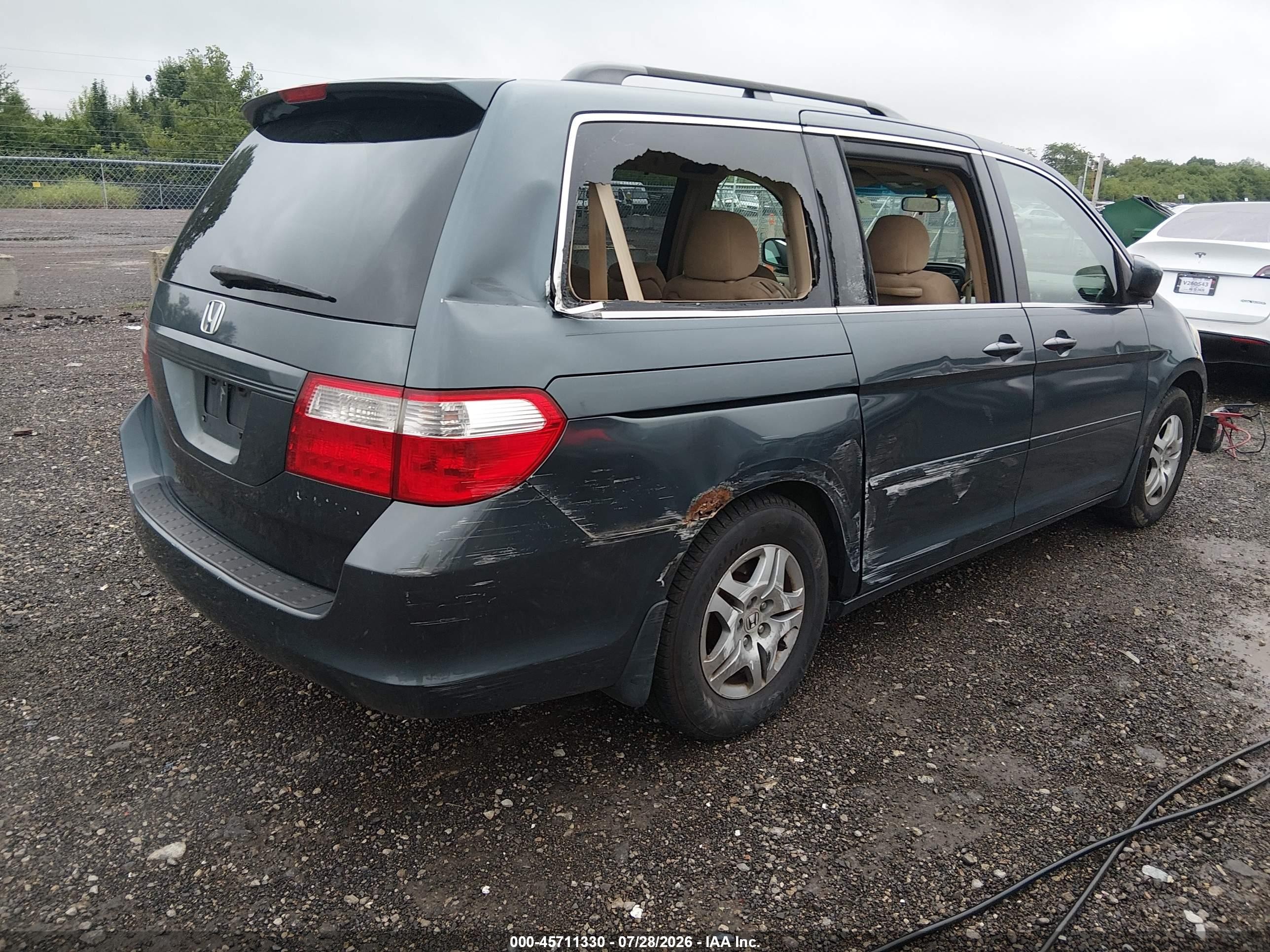 2005 Honda Odyssey Ex Gray vin: 5FNRL38445B116446