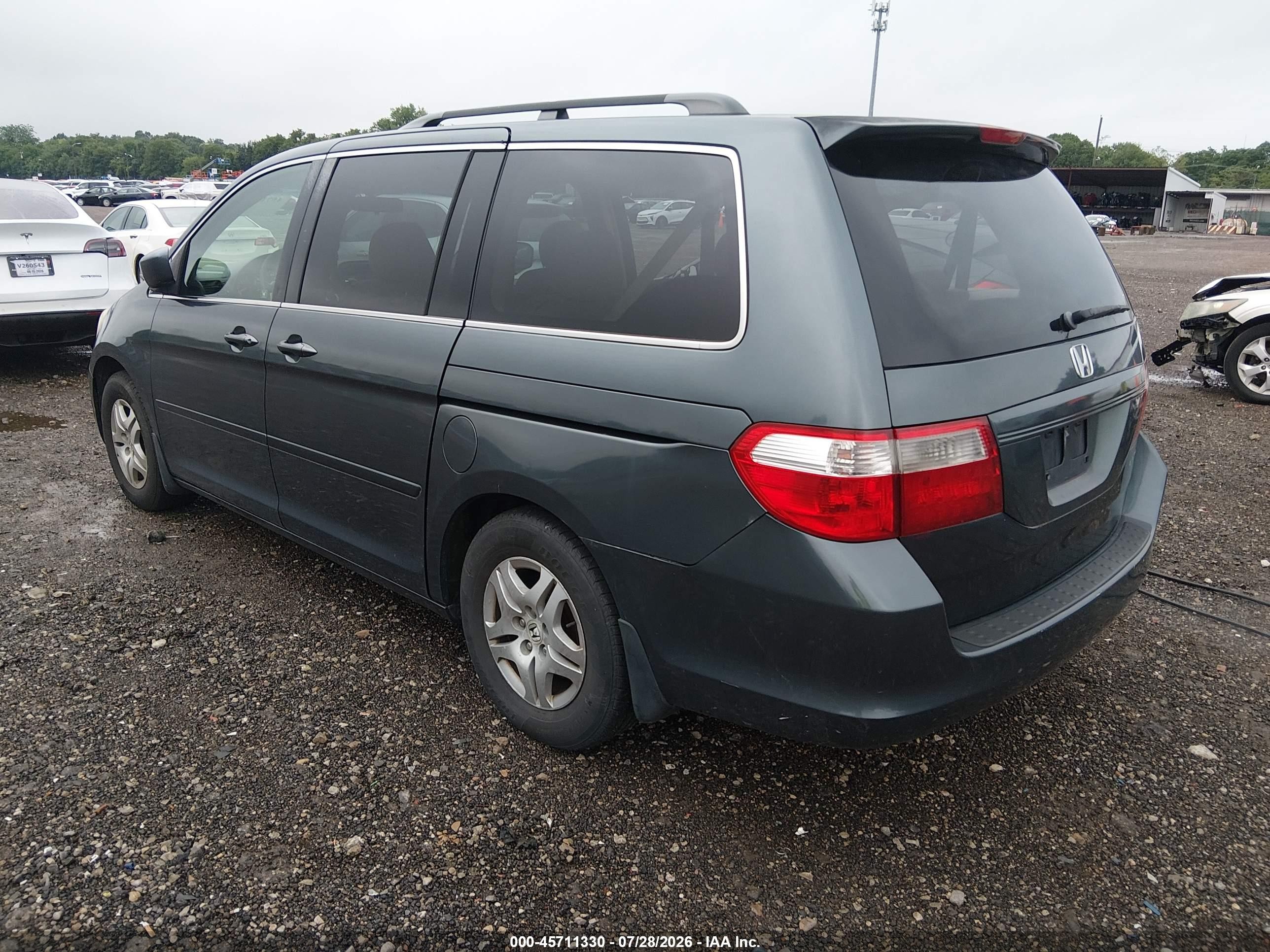 2005 Honda Odyssey Ex Gray vin: 5FNRL38445B116446