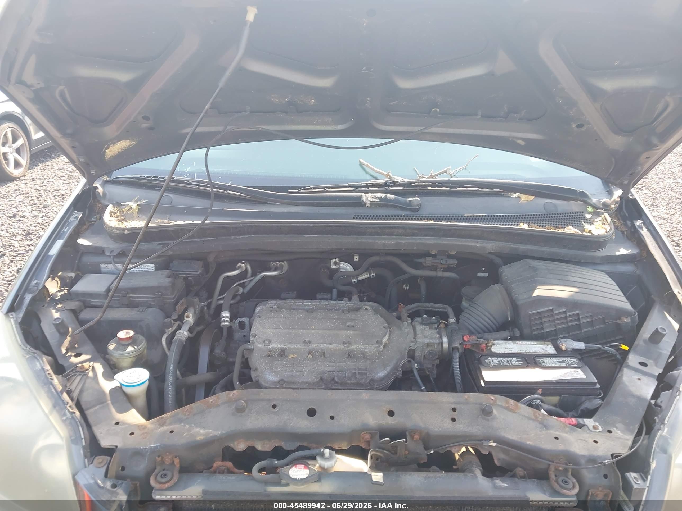 2006 Honda Odyssey Ex Gray vin: 5FNRL38446B406929