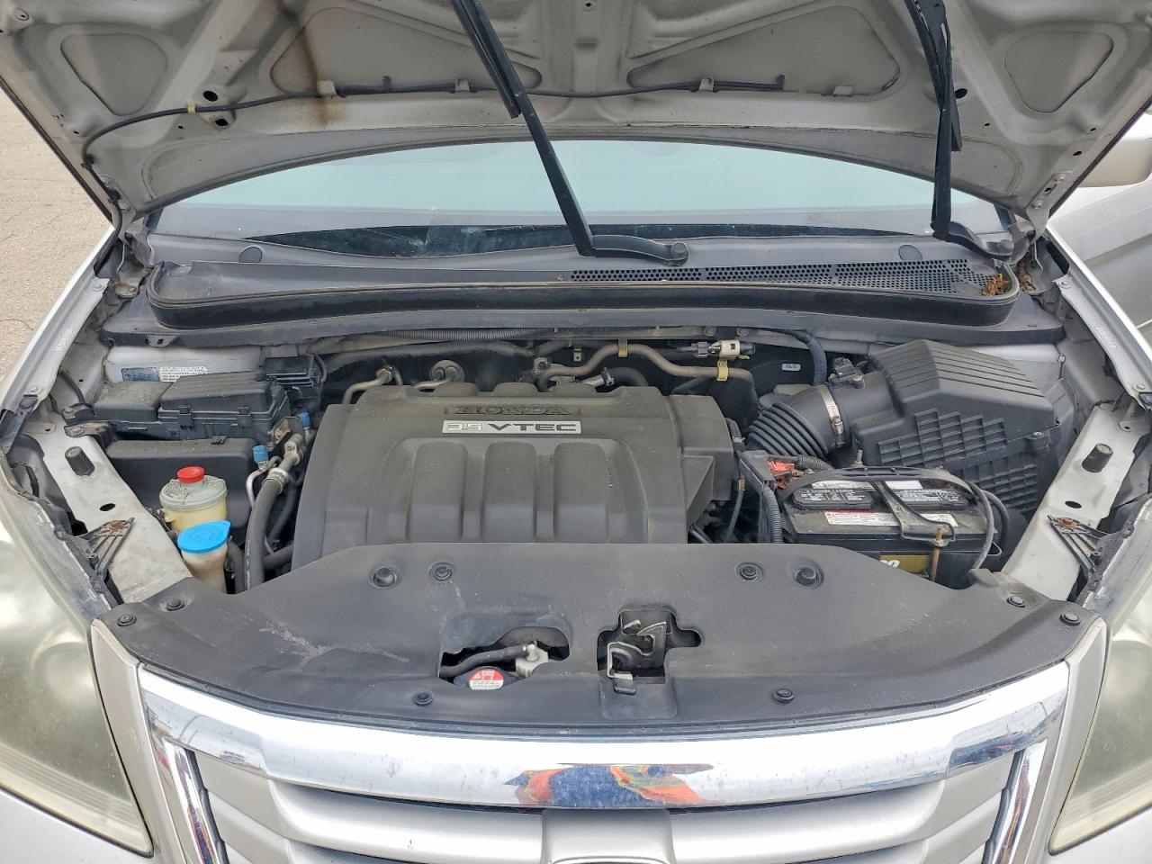 2009 Honda Odyssey Ex Белый vin: 5FNRL38449B055976