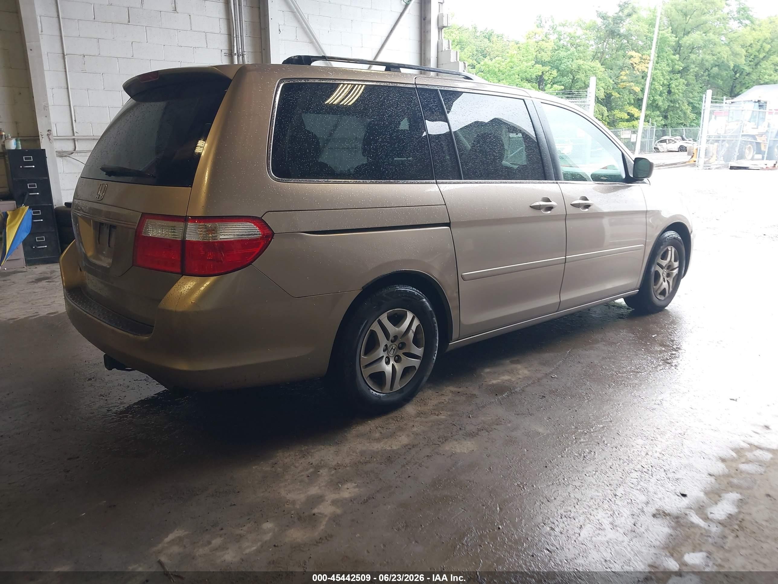 2006 Honda Odyssey Ex Gold vin: 5FNRL38466B410559