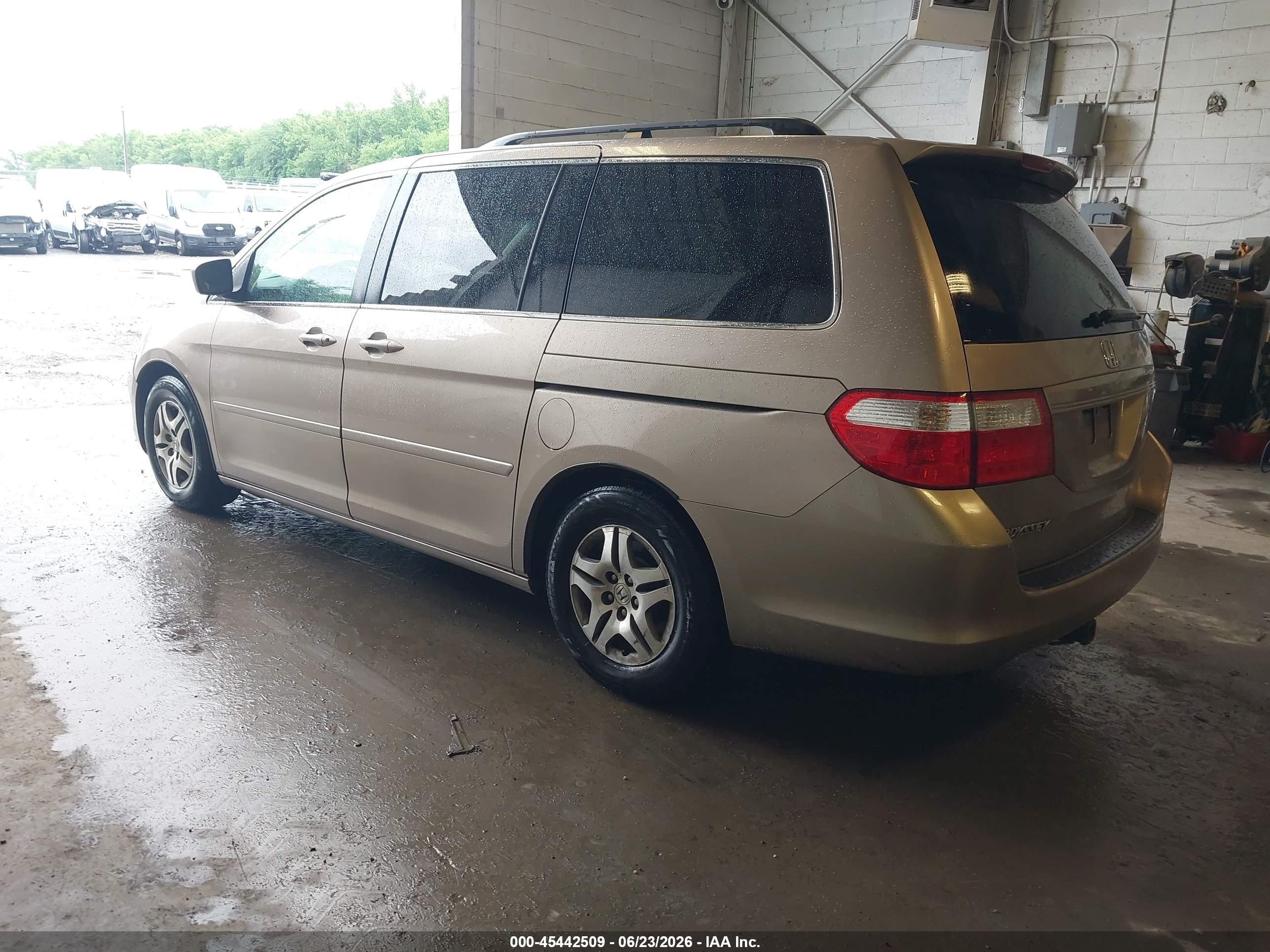 2006 Honda Odyssey Ex Gold vin: 5FNRL38466B410559