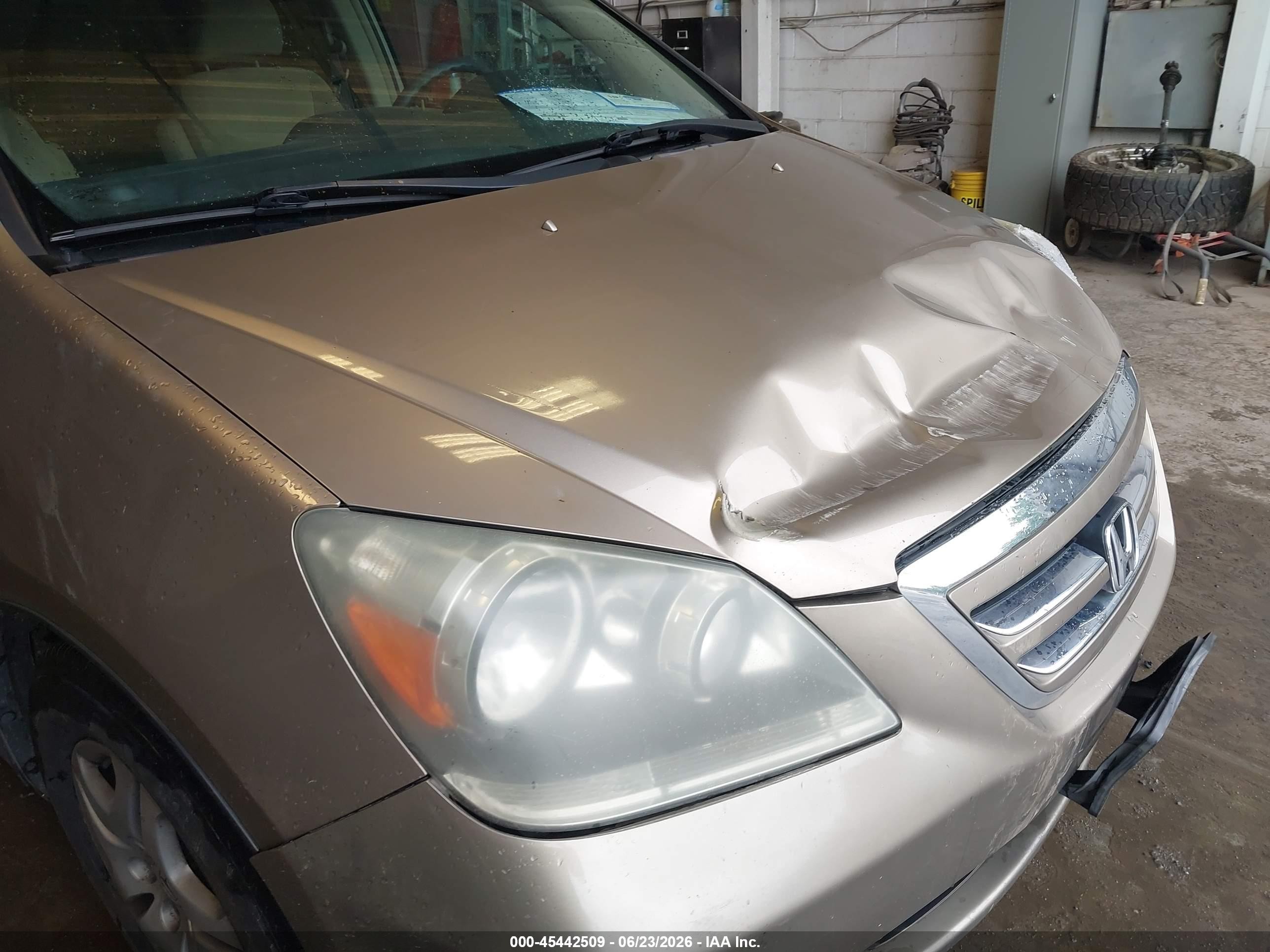 2006 Honda Odyssey Ex Gold vin: 5FNRL38466B410559
