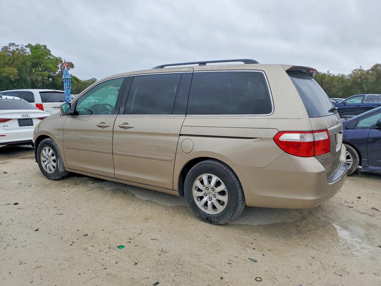2006 Honda Odyssey Ex Gold vin: 5FNRL38466B439804