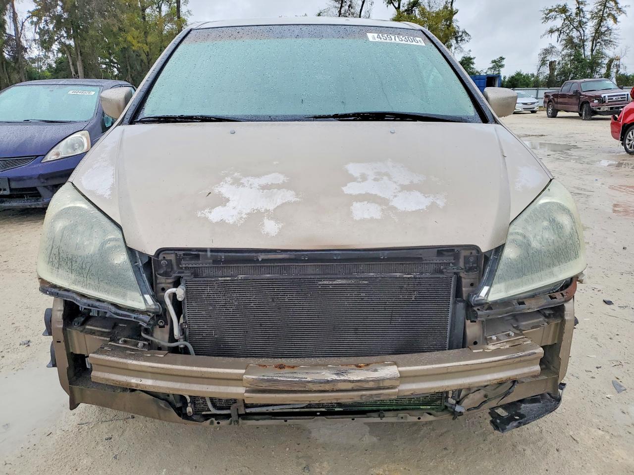 2006 Honda Odyssey Ex Gold vin: 5FNRL38466B439804