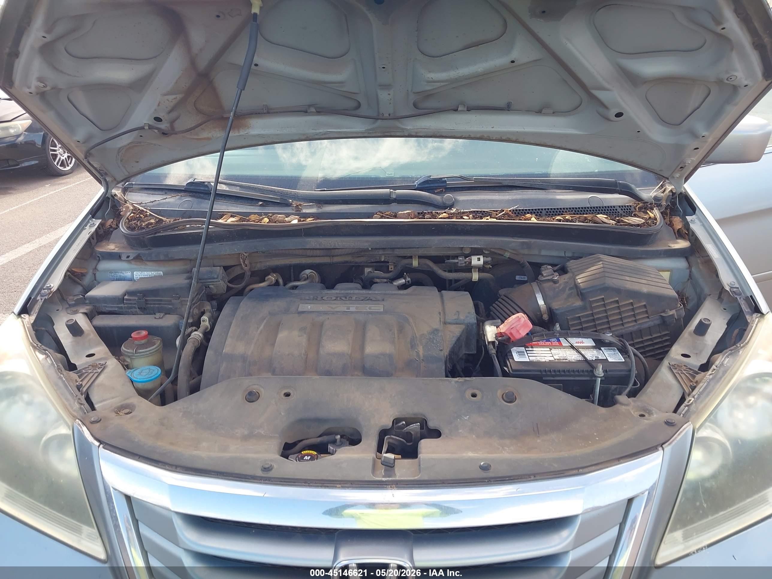 2009 Honda Odyssey Ex Light Blue vin: 5FNRL38479B041800
