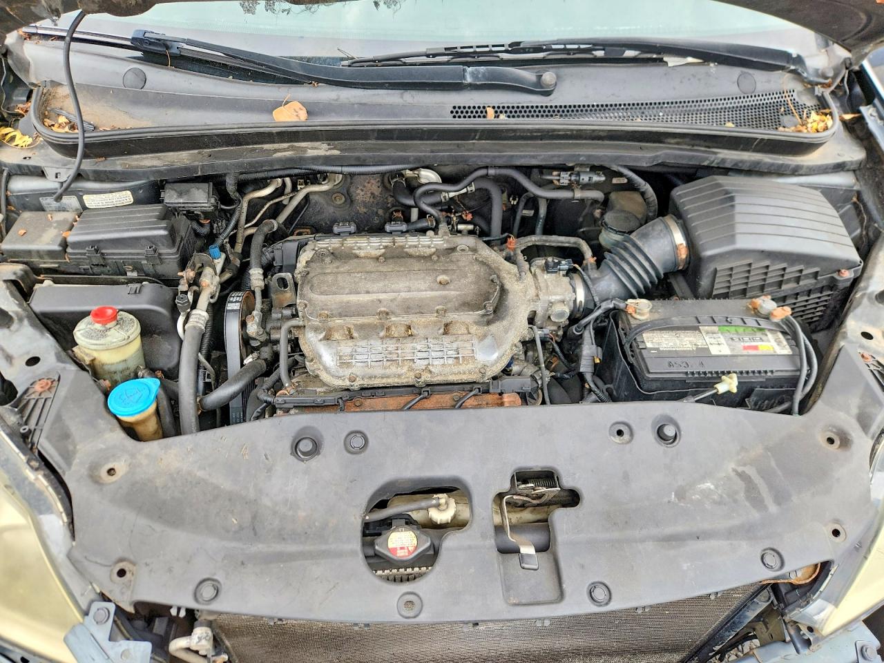 2005 Honda Odyssey Ex Teal vin: 5FNRL38485B421626