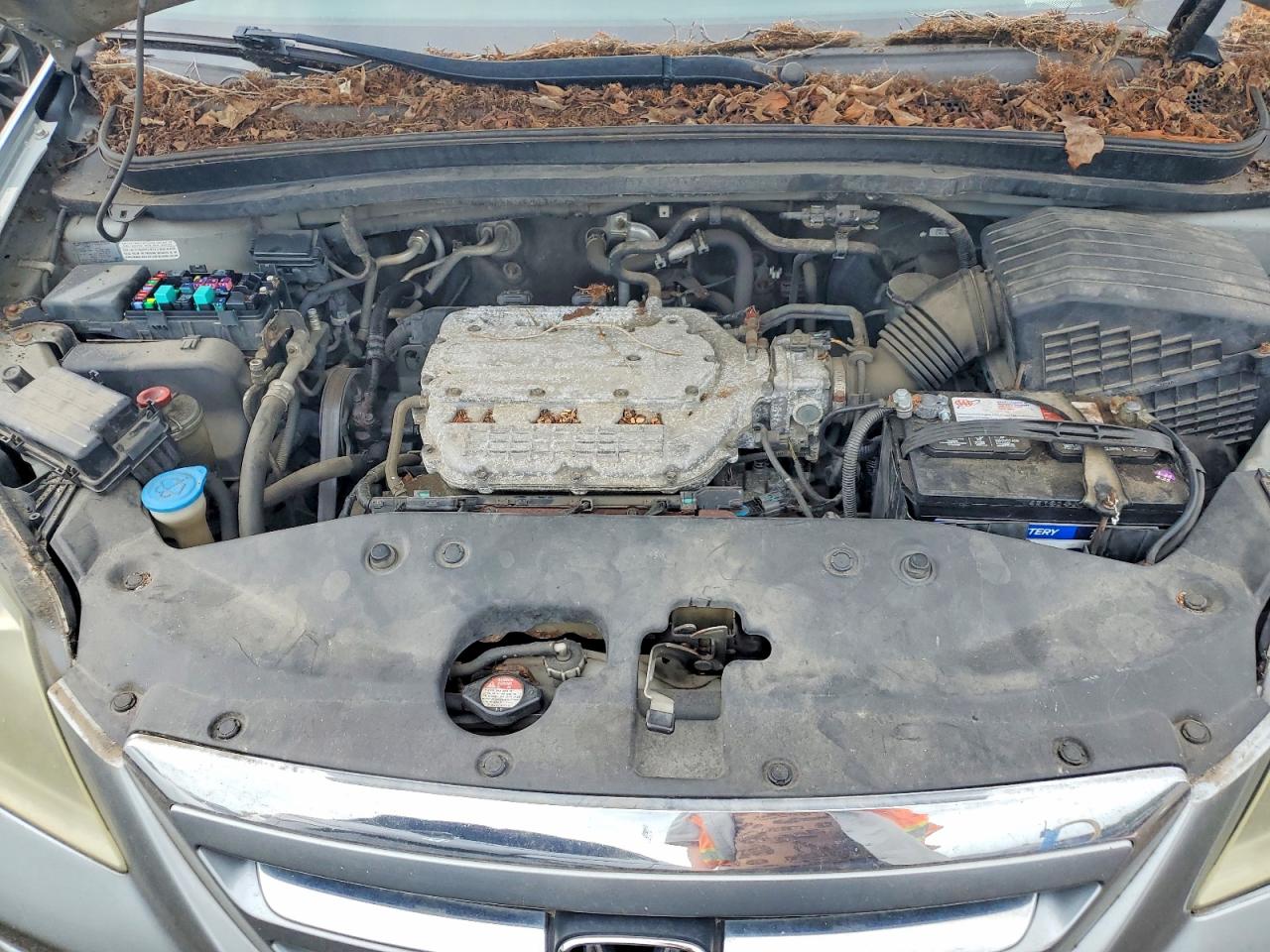 2006 Honda Odyssey Ex Blue vin: 5FNRL38486B043129
