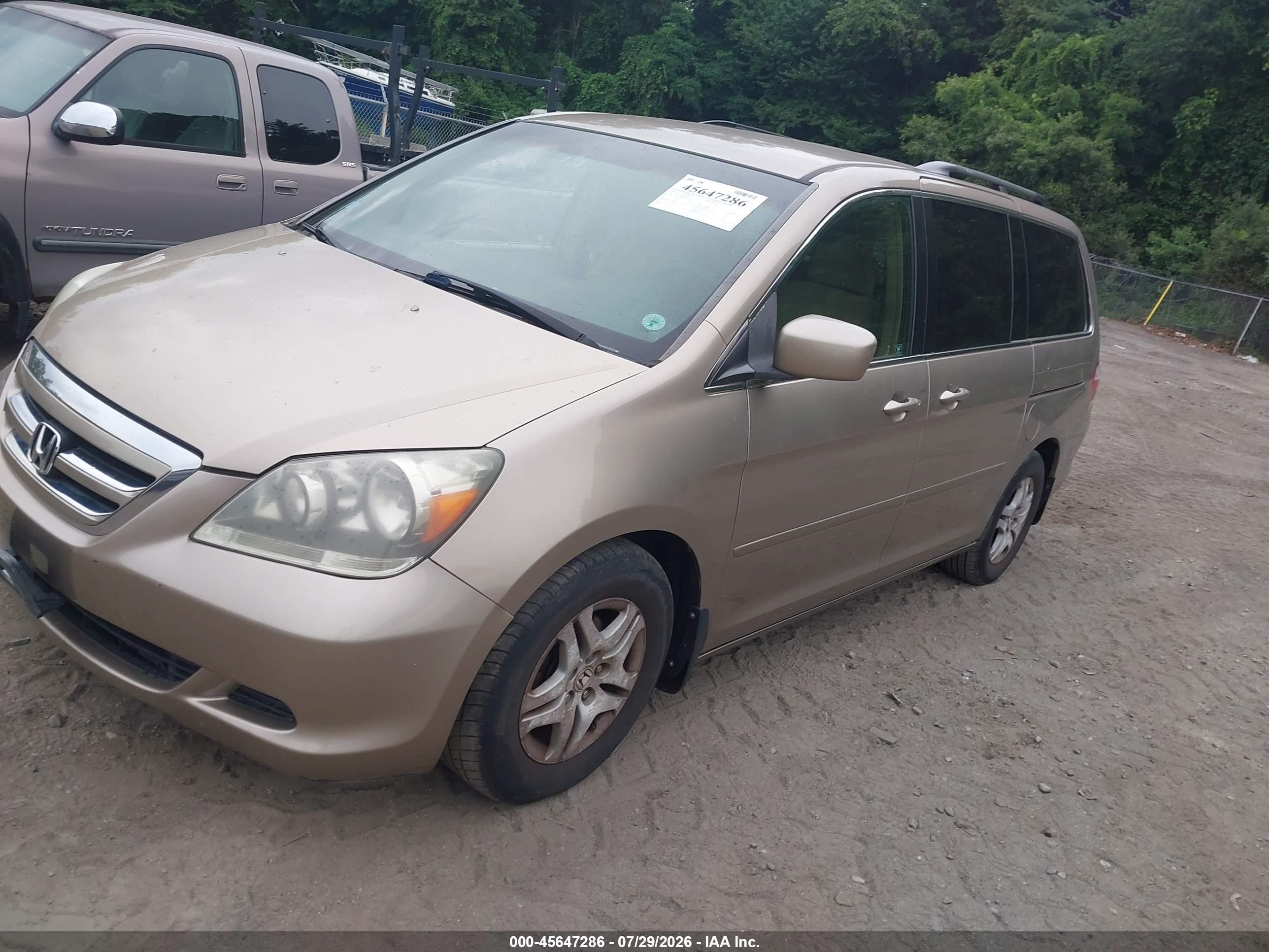 2006 Honda Odyssey Ex Gold vin: 5FNRL38486B068256