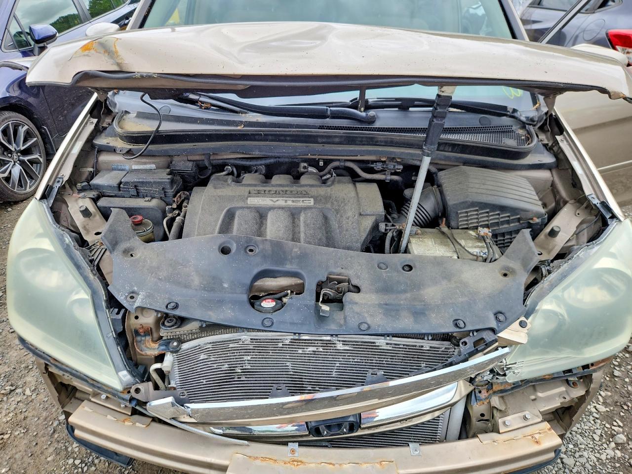 2006 Honda Odyssey Ex Gold vin: 5FNRL38496B415805