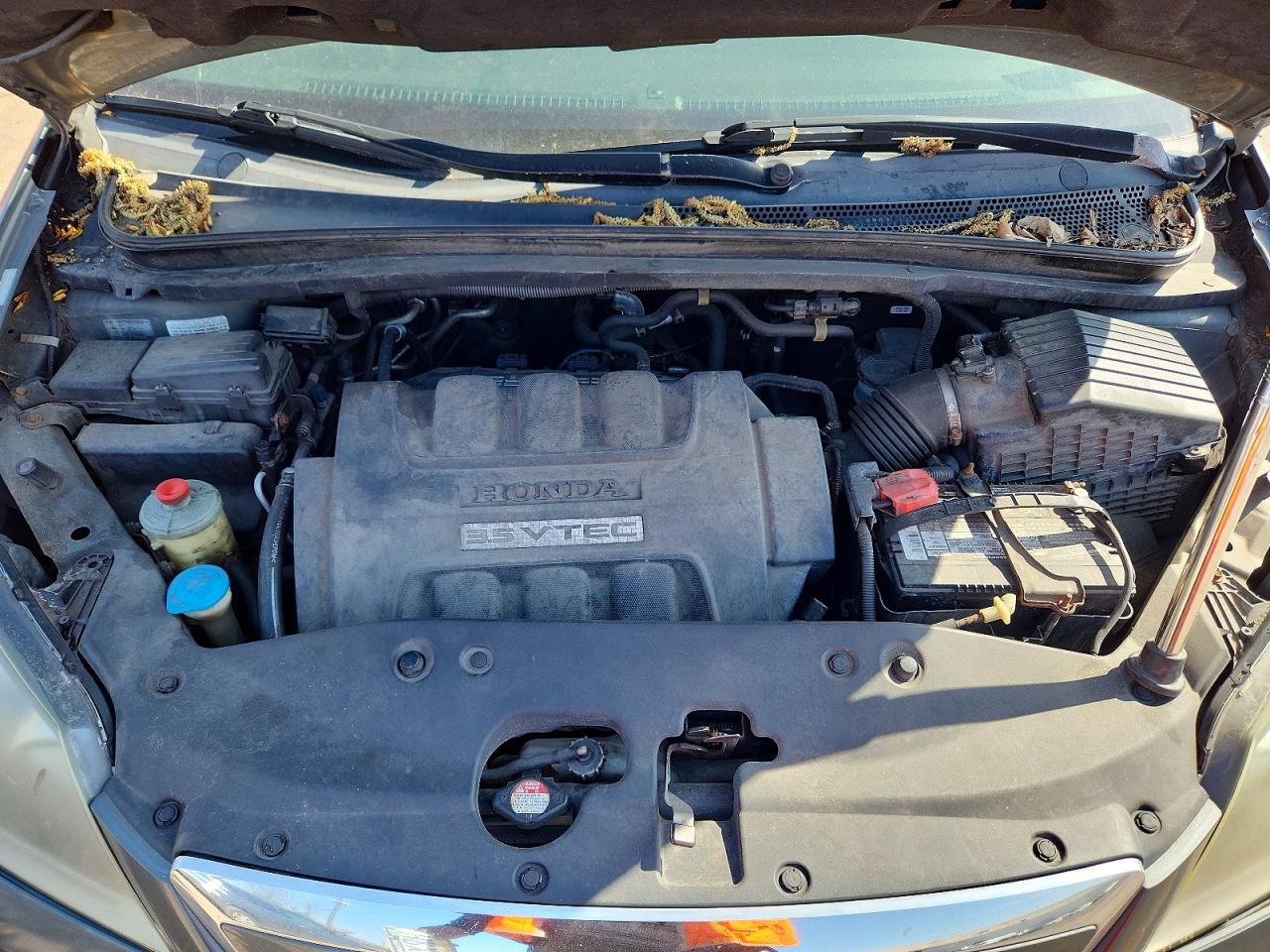 2007 Honda Odyssey Ex Gray vin: 5FNRL38497B451690
