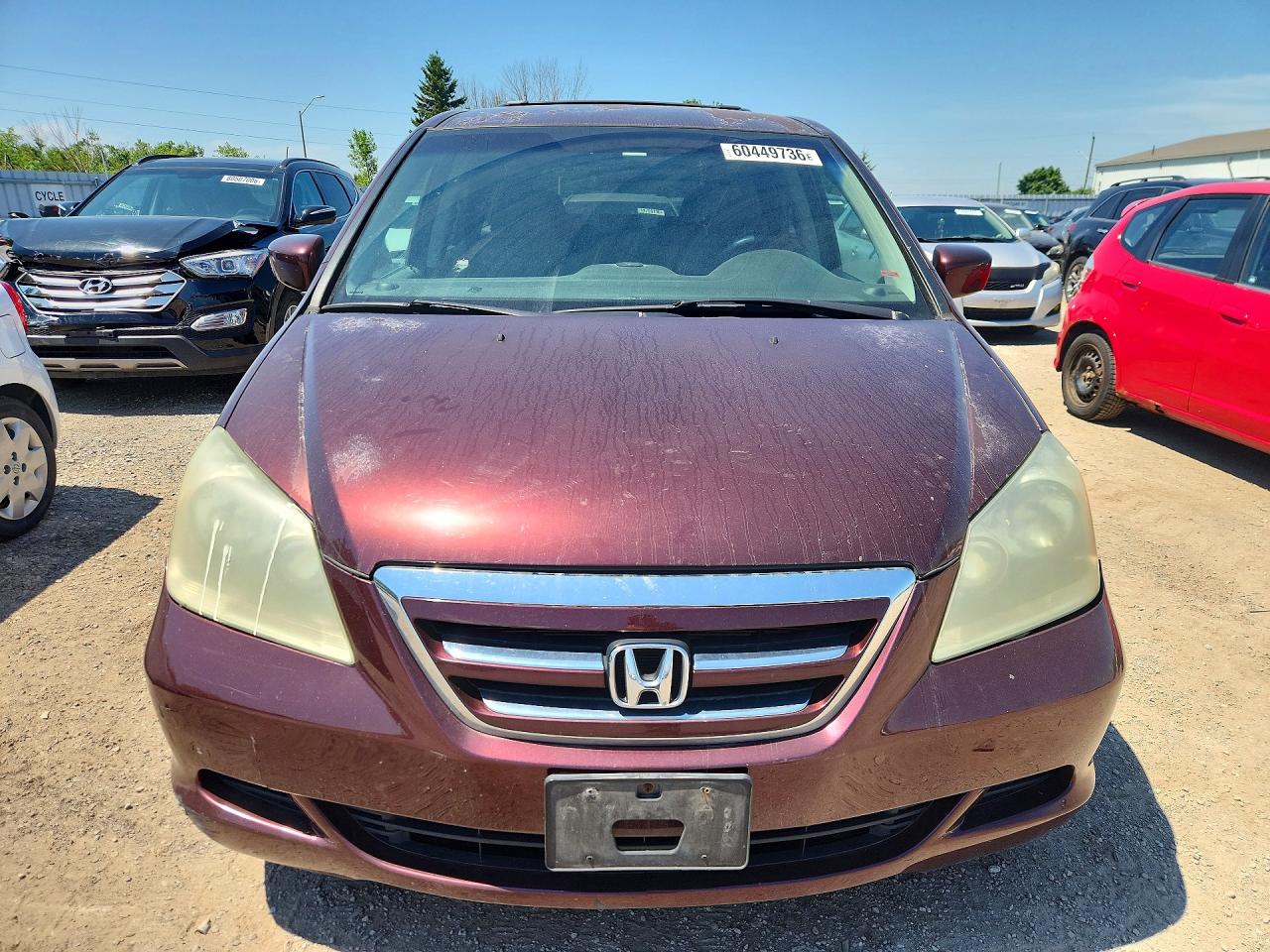 2007 Honda Odyssey Ex Burgundy vin: 5FNRL38497B503139