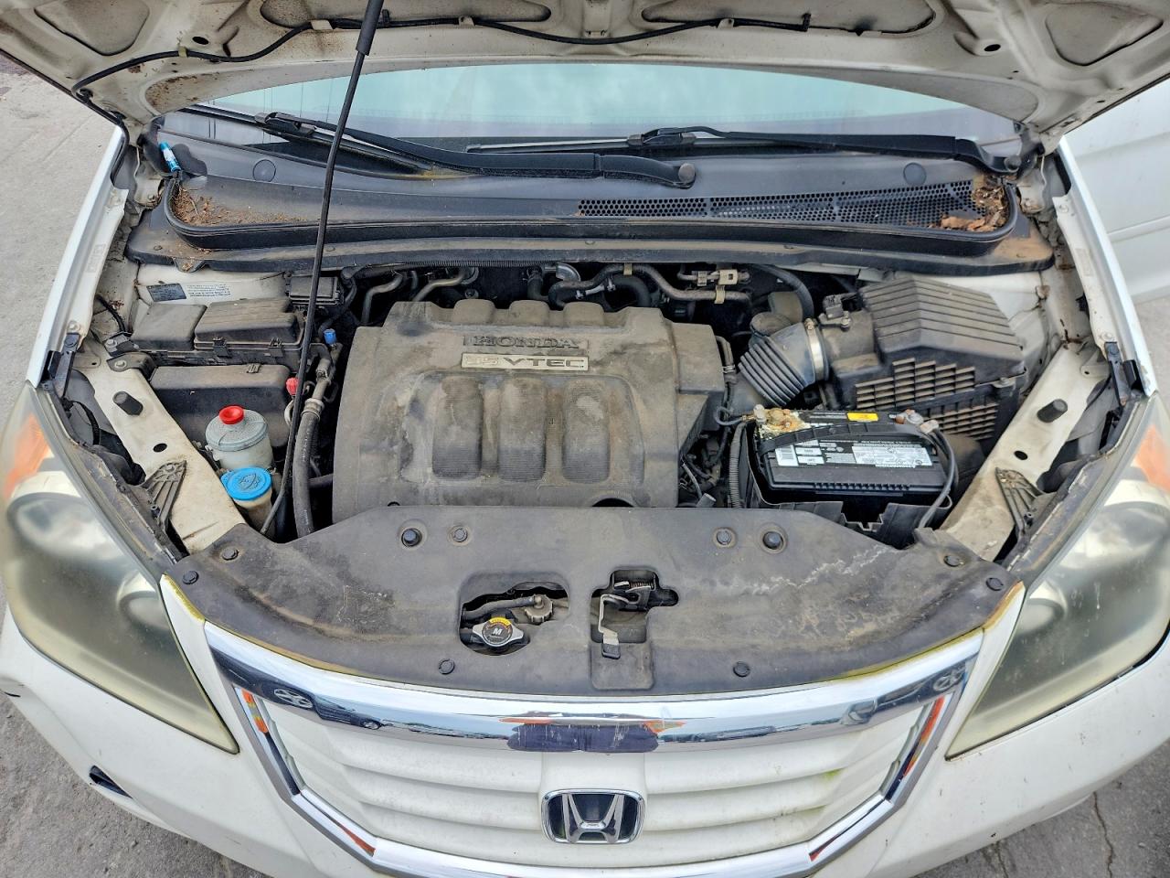 2008 Honda Odyssey Ex White vin: 5FNRL38498B079883