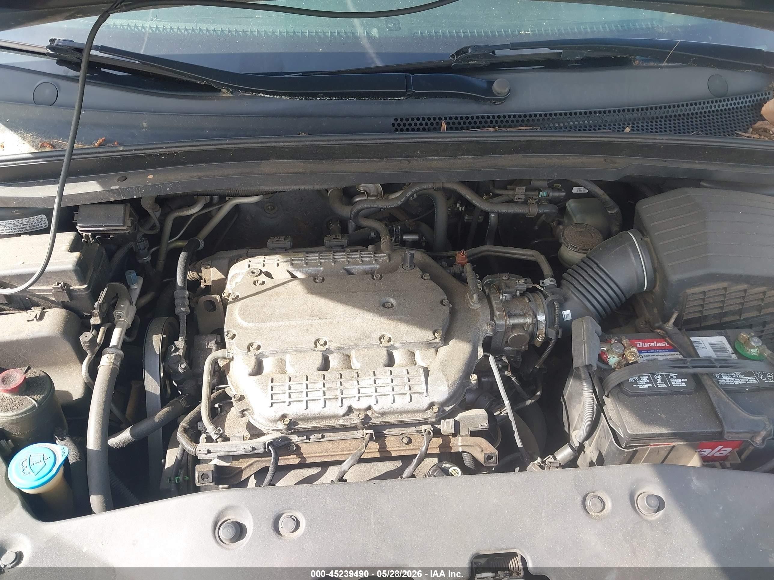 2005 Honda Odyssey Ex Gray vin: 5FNRL384X5B411003