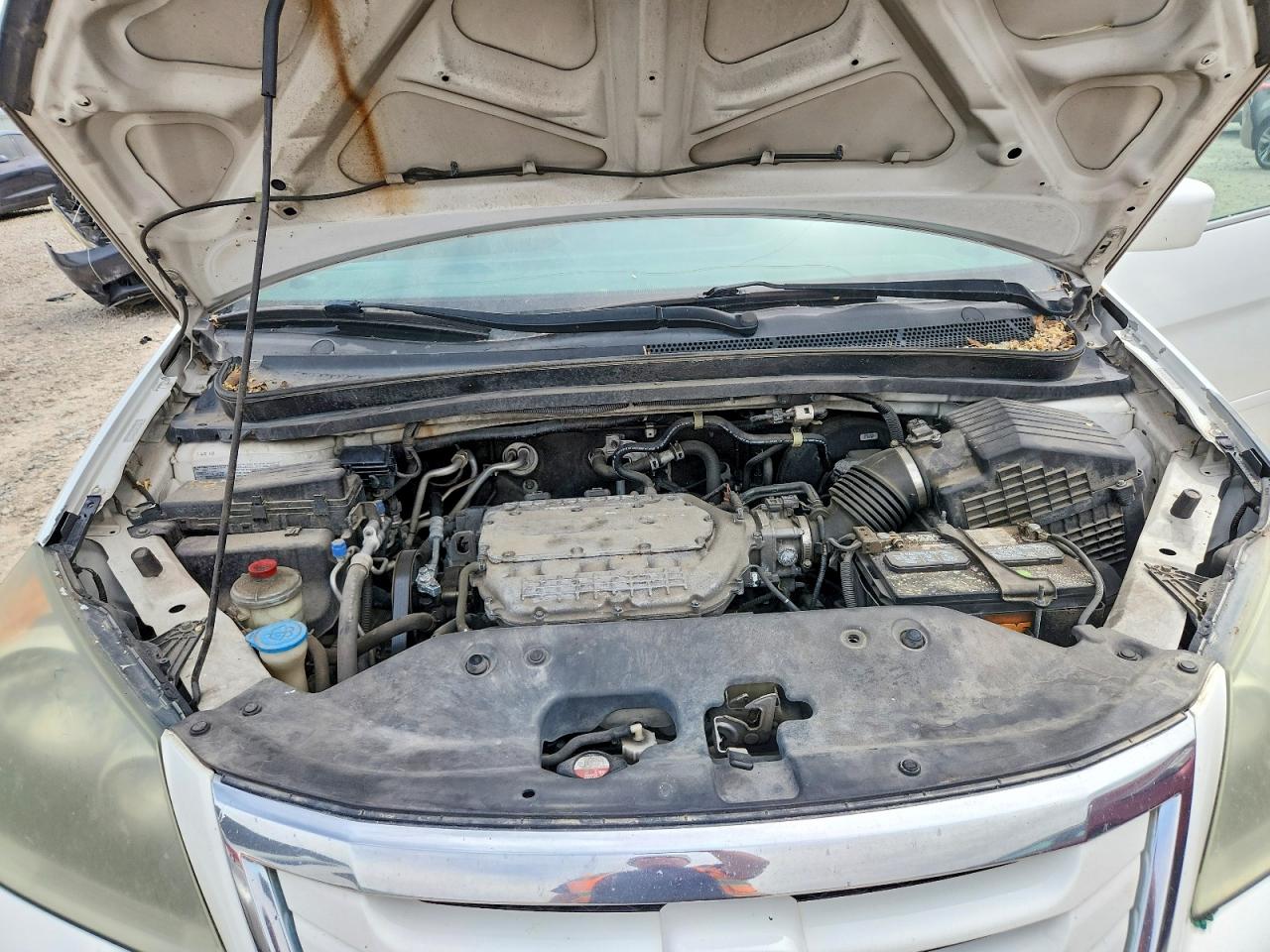 2008 Honda Odyssey Ex Белый vin: 5FNRL384X8B048318