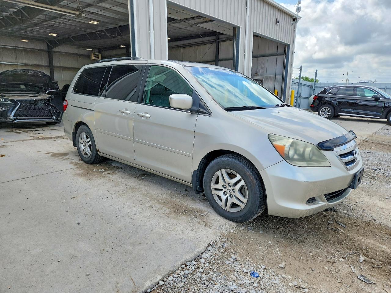 2005 Honda Odyssey Exl Gray vin: 5FNRL38605B407138