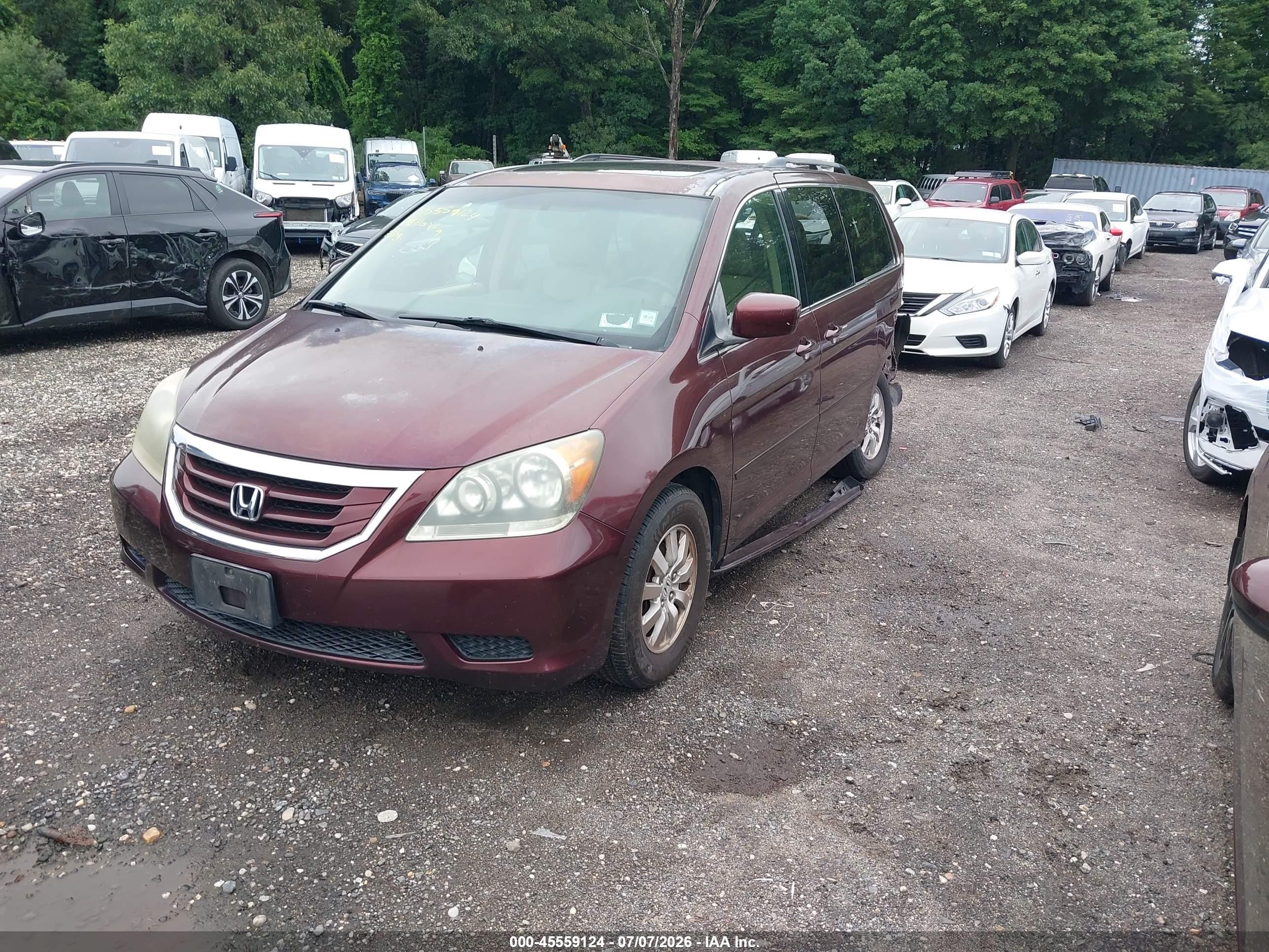 2008 Honda Odyssey Ex-l Темно-бордовый vin: 5FNRL38608B403921