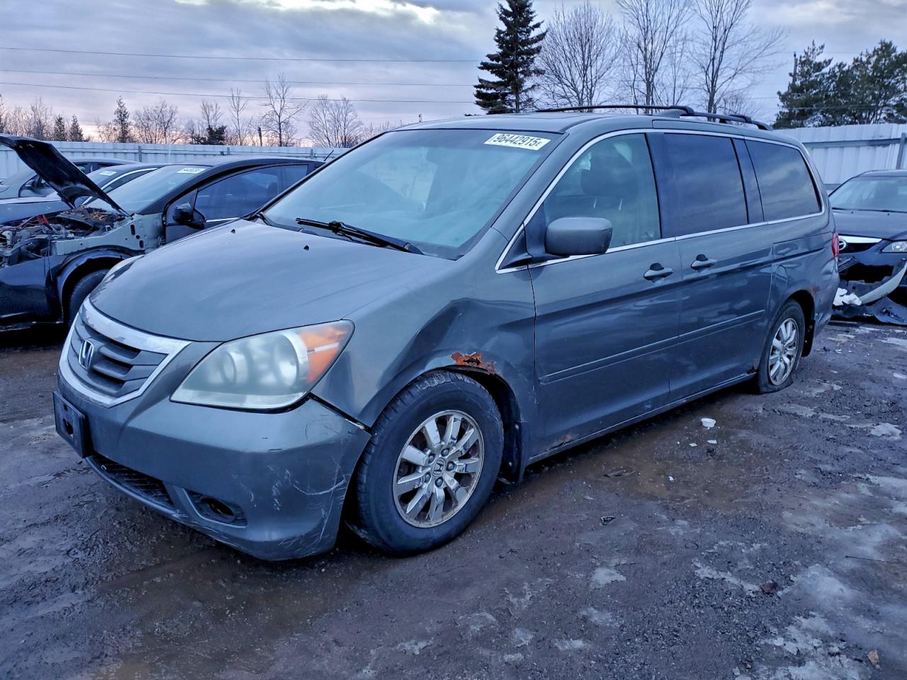 2008 Honda Odyssey Exl Gray vin: 5FNRL38608B506174