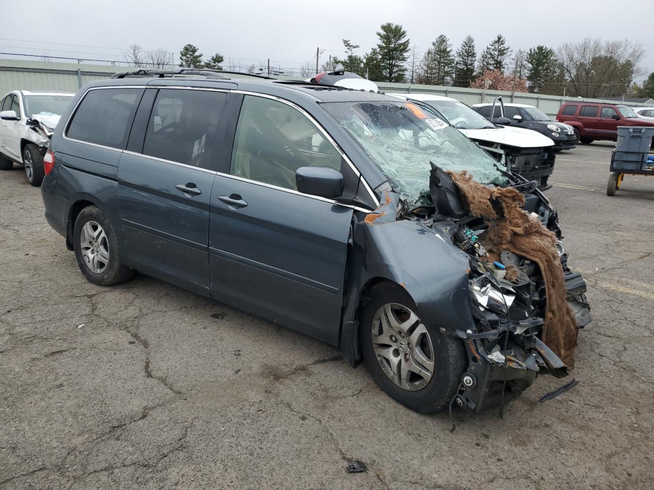 2005 Honda Odyssey Exl Gray vin: 5FNRL38615B408430