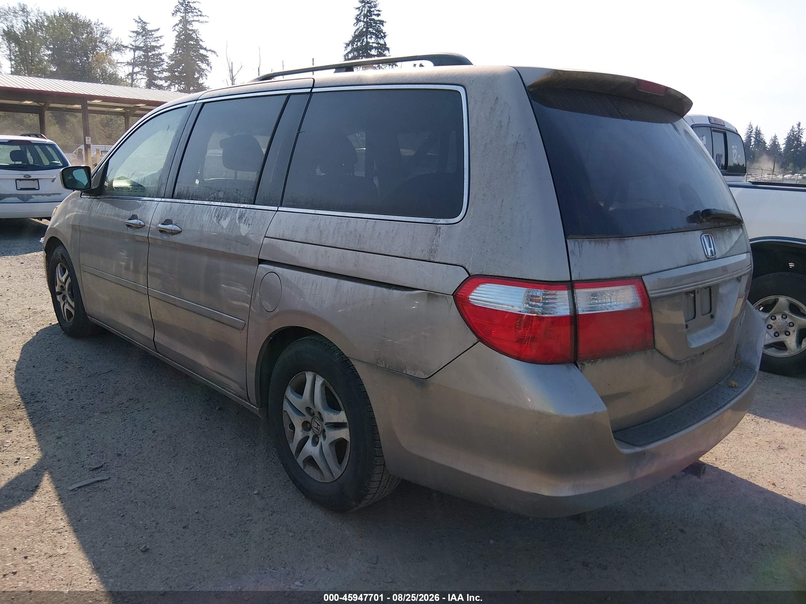 2005 Honda Odyssey Ex-l Gold vin: 5FNRL38615B421937