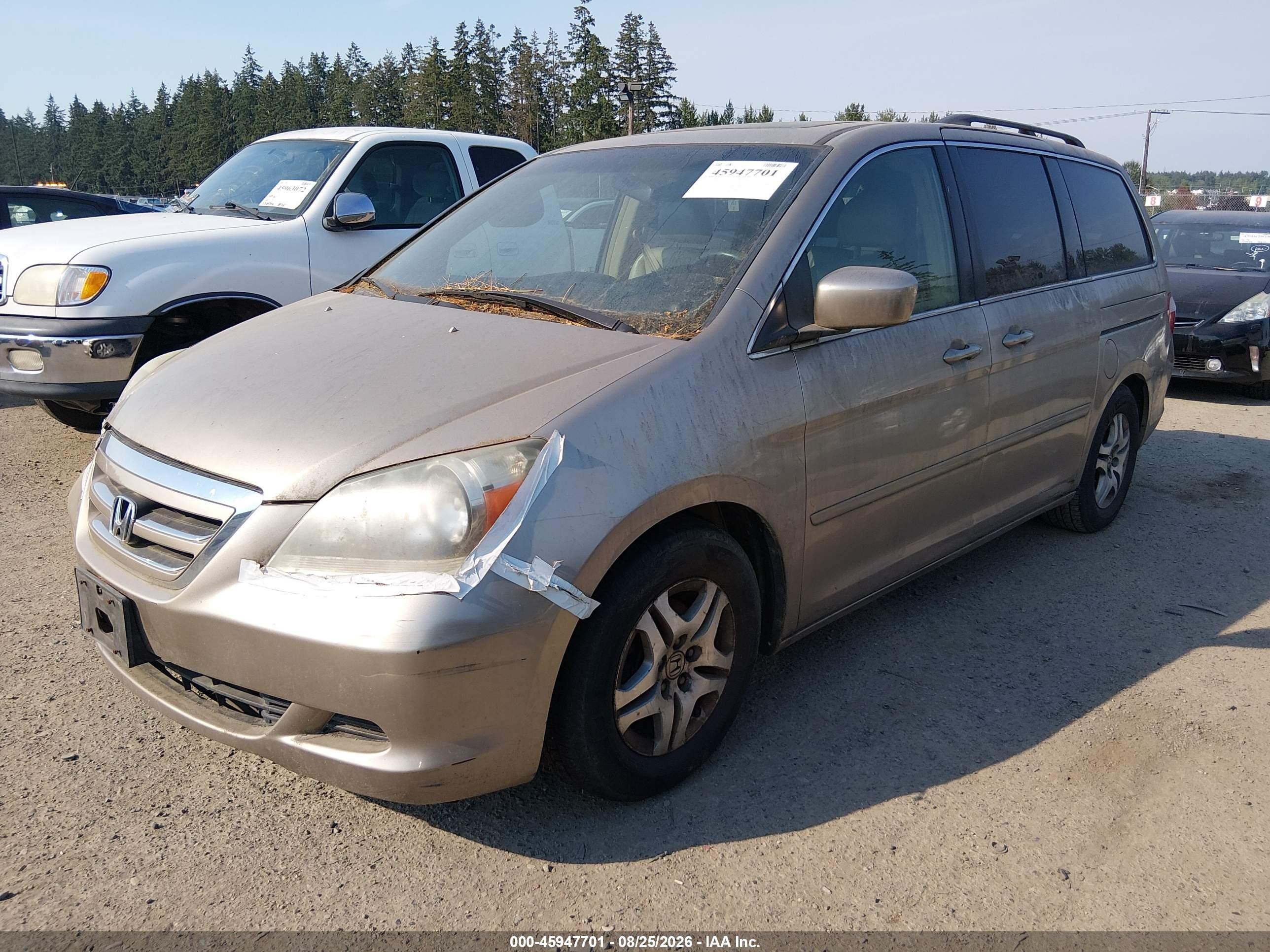 2005 Honda Odyssey Ex-l Gold vin: 5FNRL38615B421937
