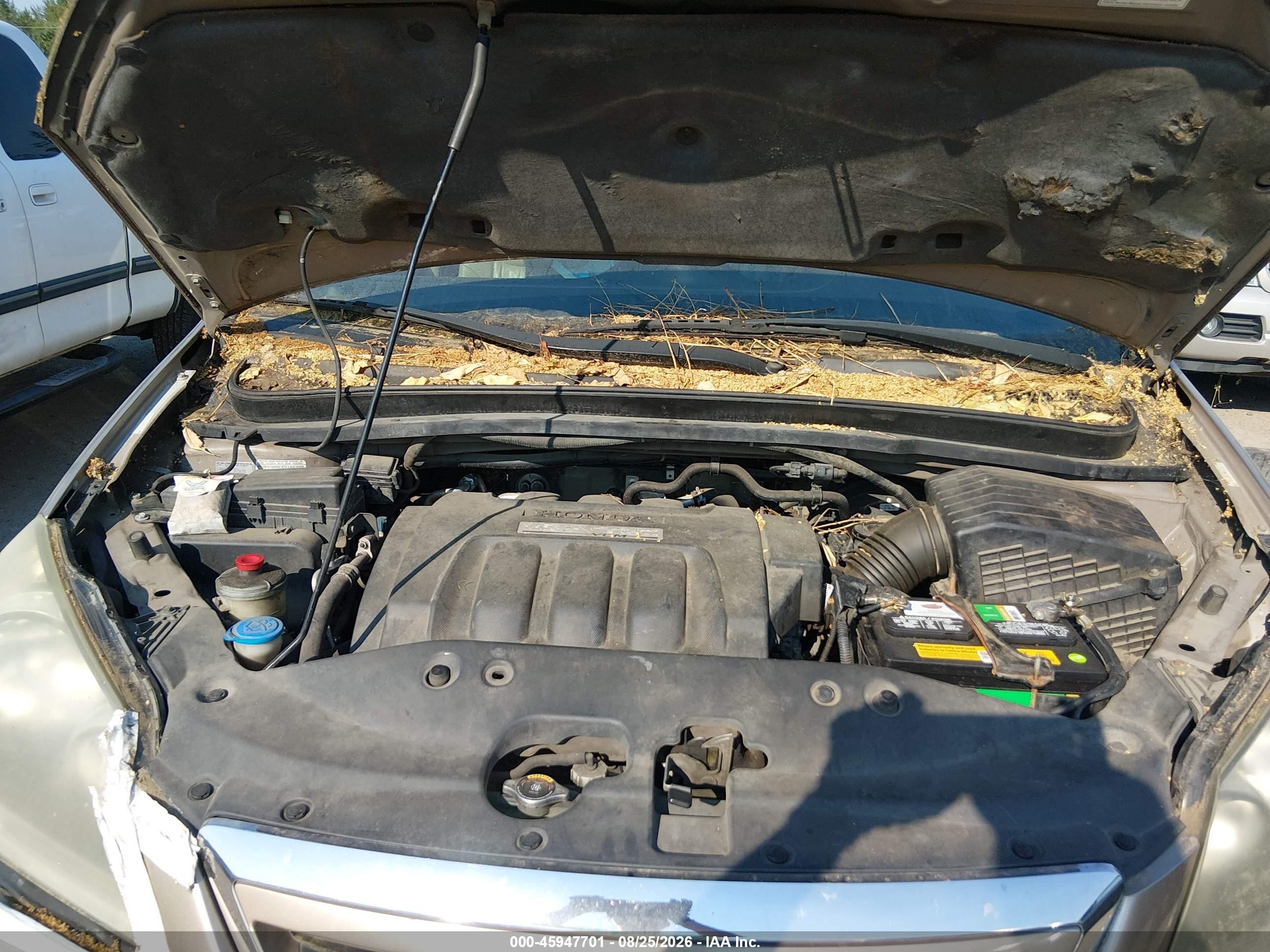 2005 Honda Odyssey Ex-l Gold vin: 5FNRL38615B421937
