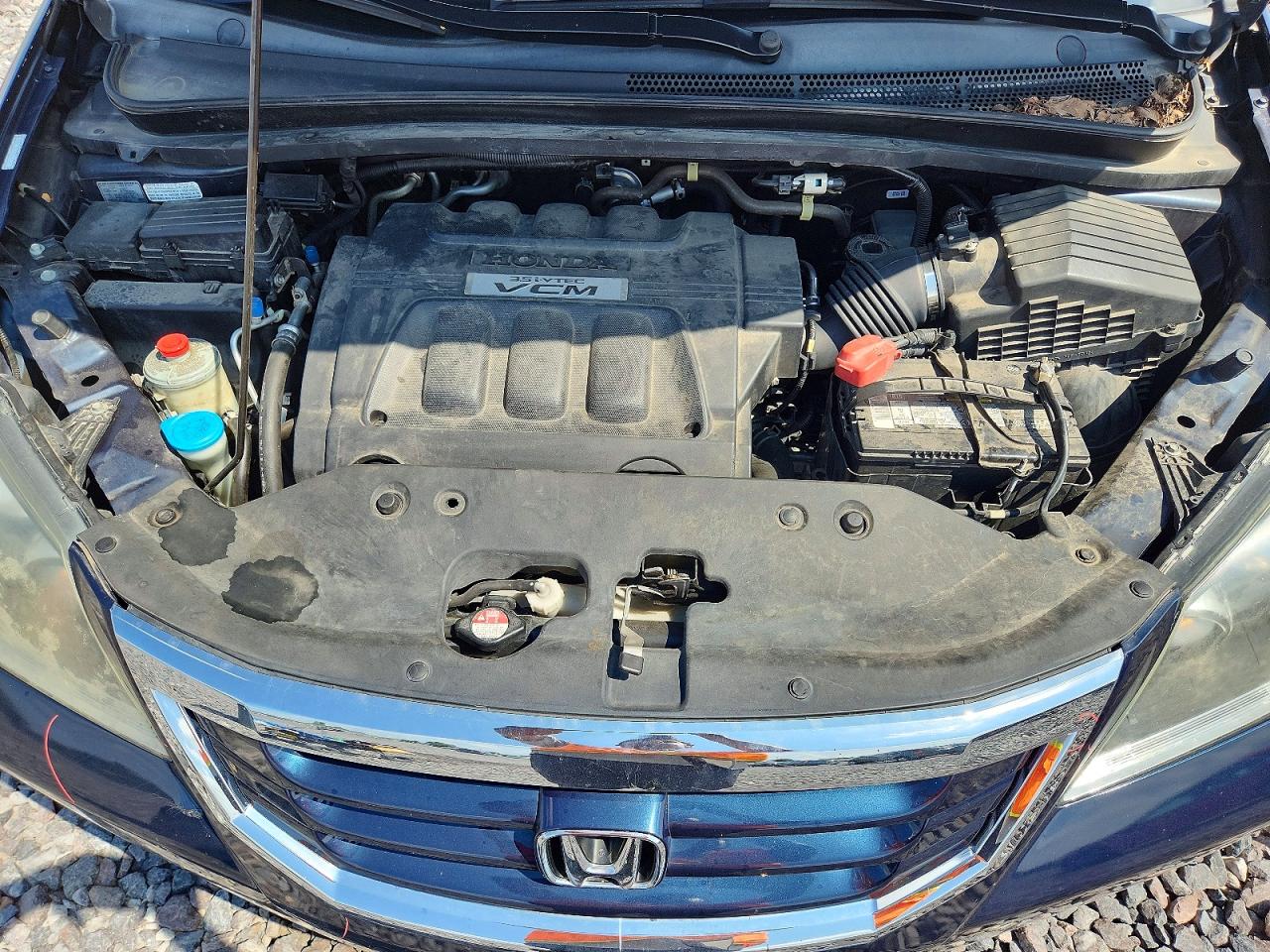 2009 Honda Odyssey Exl Blue vin: 5FNRL38619B040627