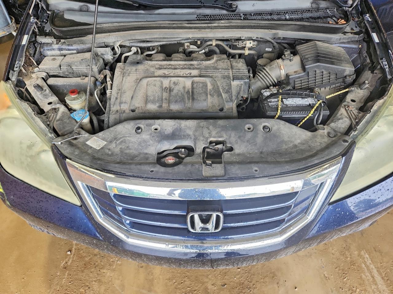 2008 Honda Odyssey Exl Blue vin: 5FNRL38628B013936