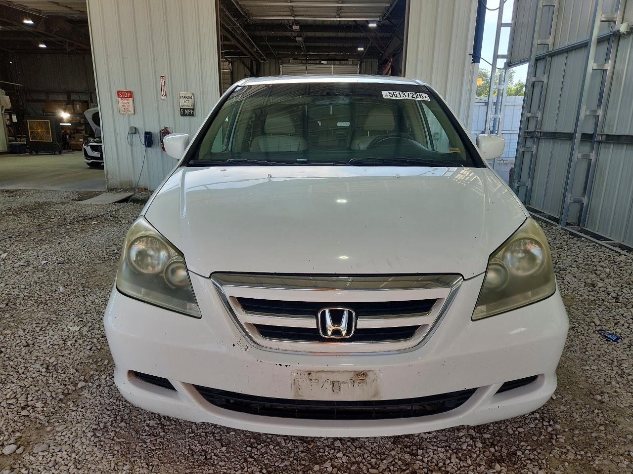 2005 Honda Odyssey Exl White vin: 5FNRL38635B424550