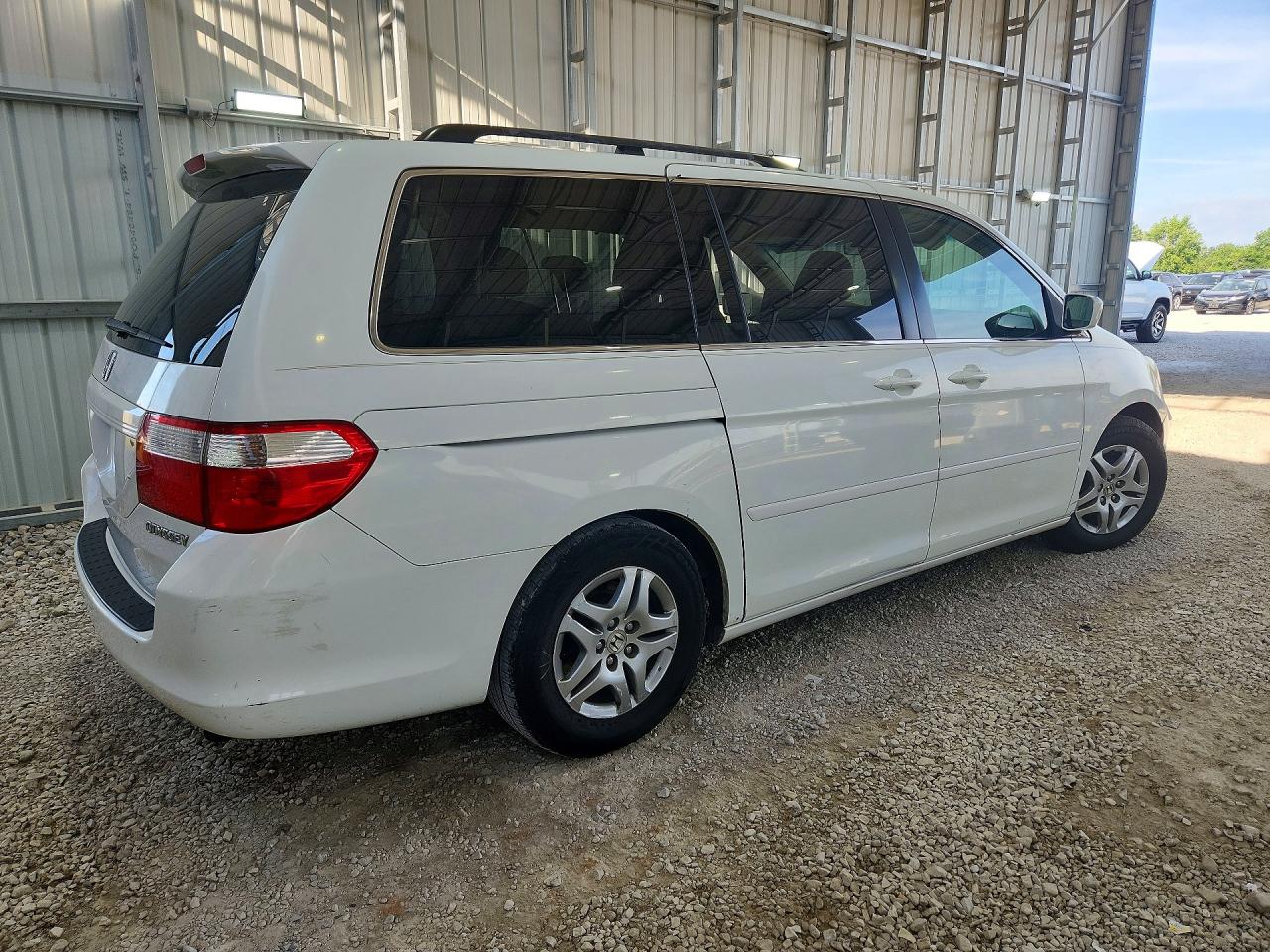 2005 Honda Odyssey Exl White vin: 5FNRL38635B424550