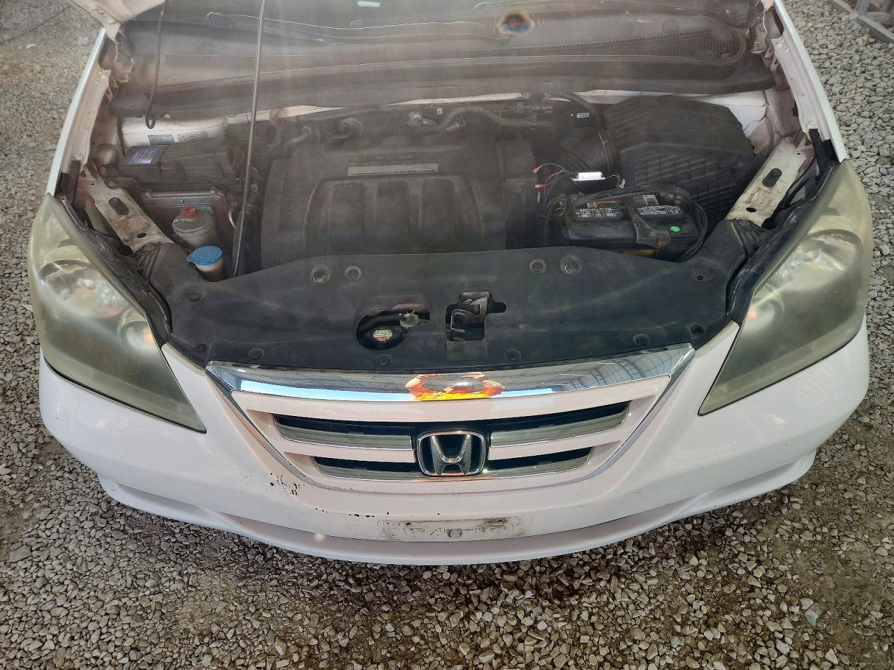 2005 Honda Odyssey Exl White vin: 5FNRL38635B424550