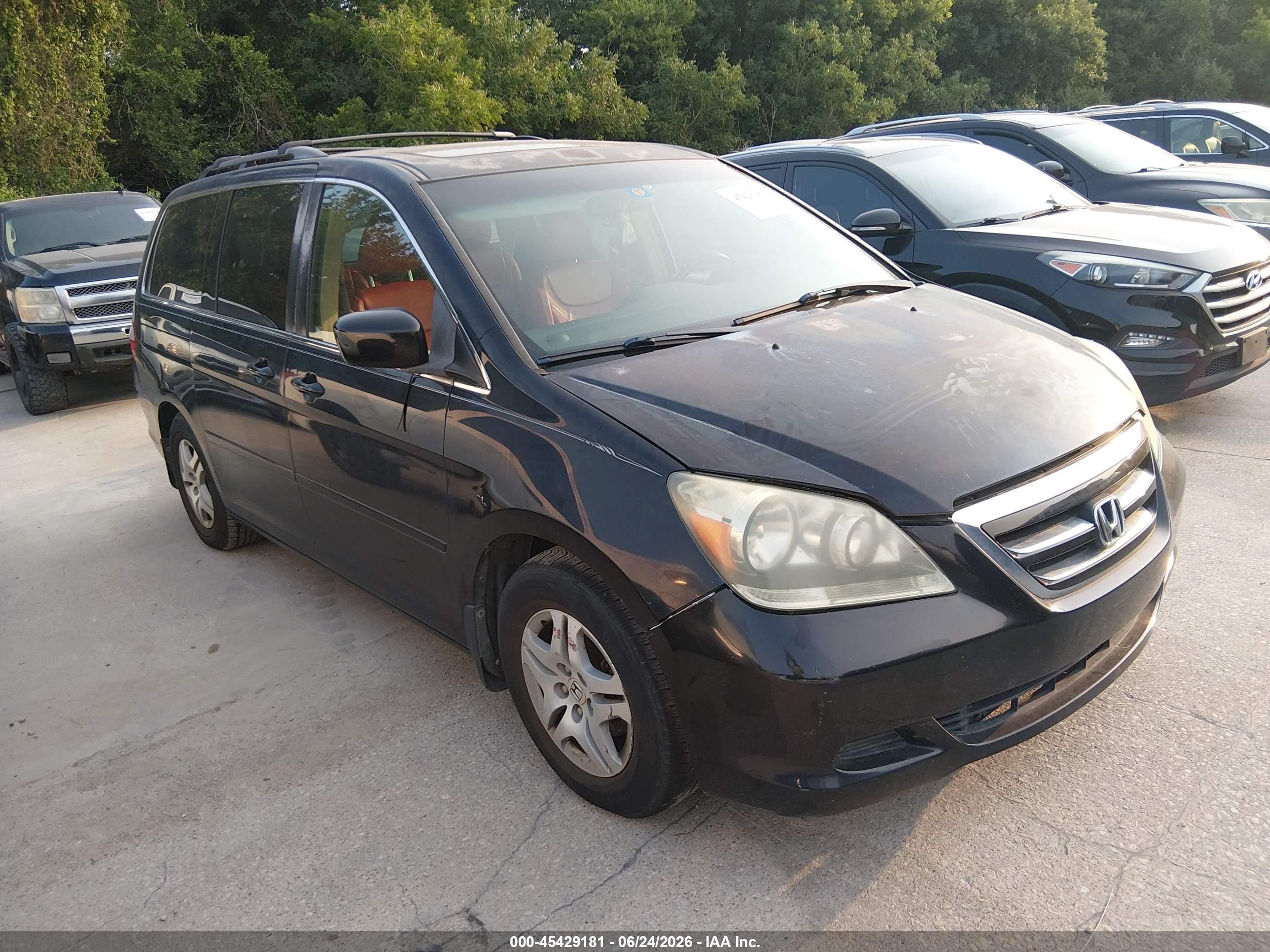 2006 Honda Odyssey Ex-l Black vin: 5FNRL38636B067324