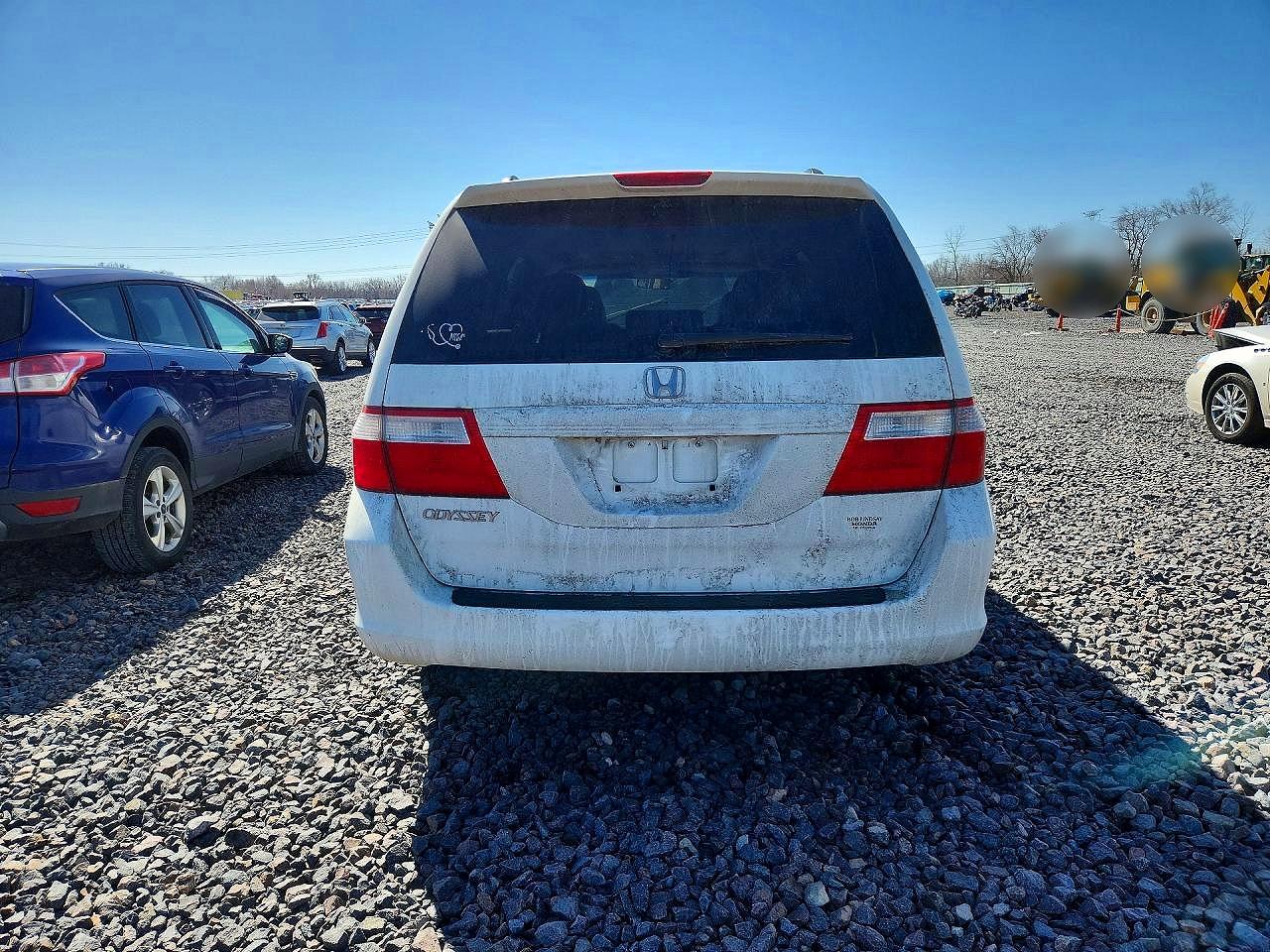 2007 Honda Odyssey Exl White vin: 5FNRL38637B444543