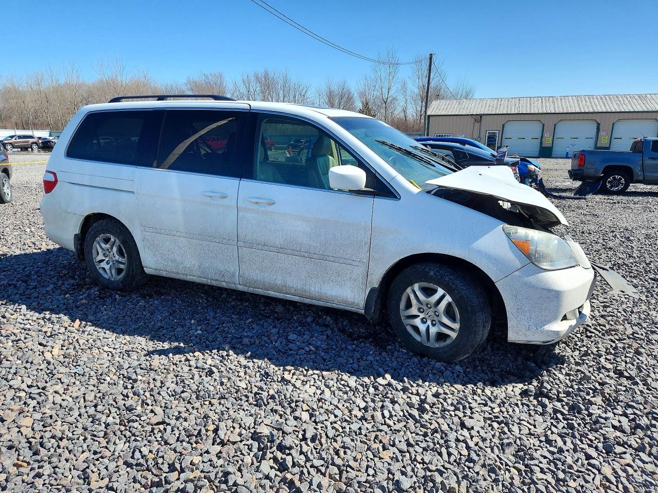 2007 Honda Odyssey Exl White vin: 5FNRL38637B444543