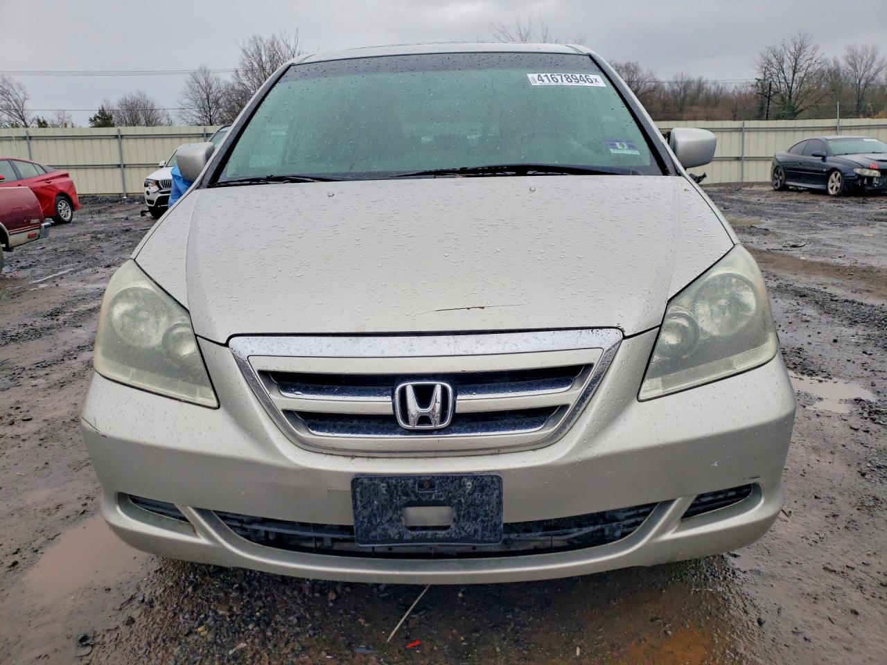 2006 Honda Odyssey Exl Gray vin: 5FNRL38646B445070