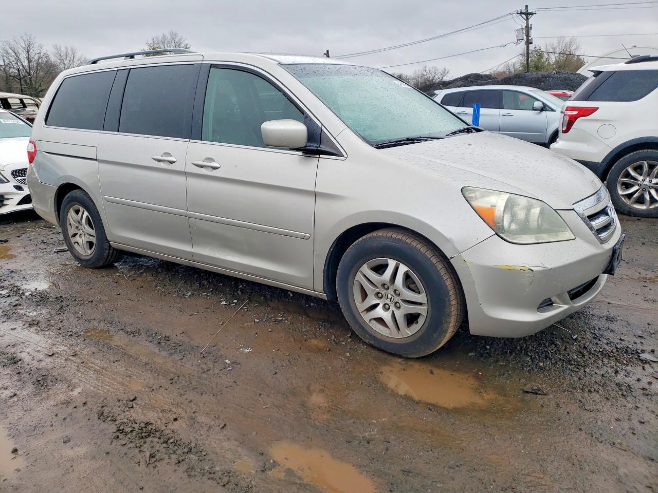 2006 Honda Odyssey Exl Gray vin: 5FNRL38646B445070