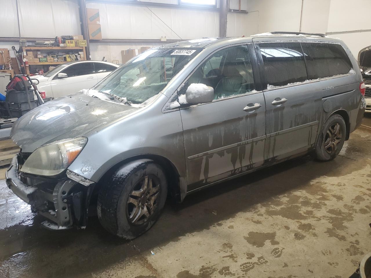 2007 Honda Odyssey Exl Gray vin: 5FNRL38647B069309